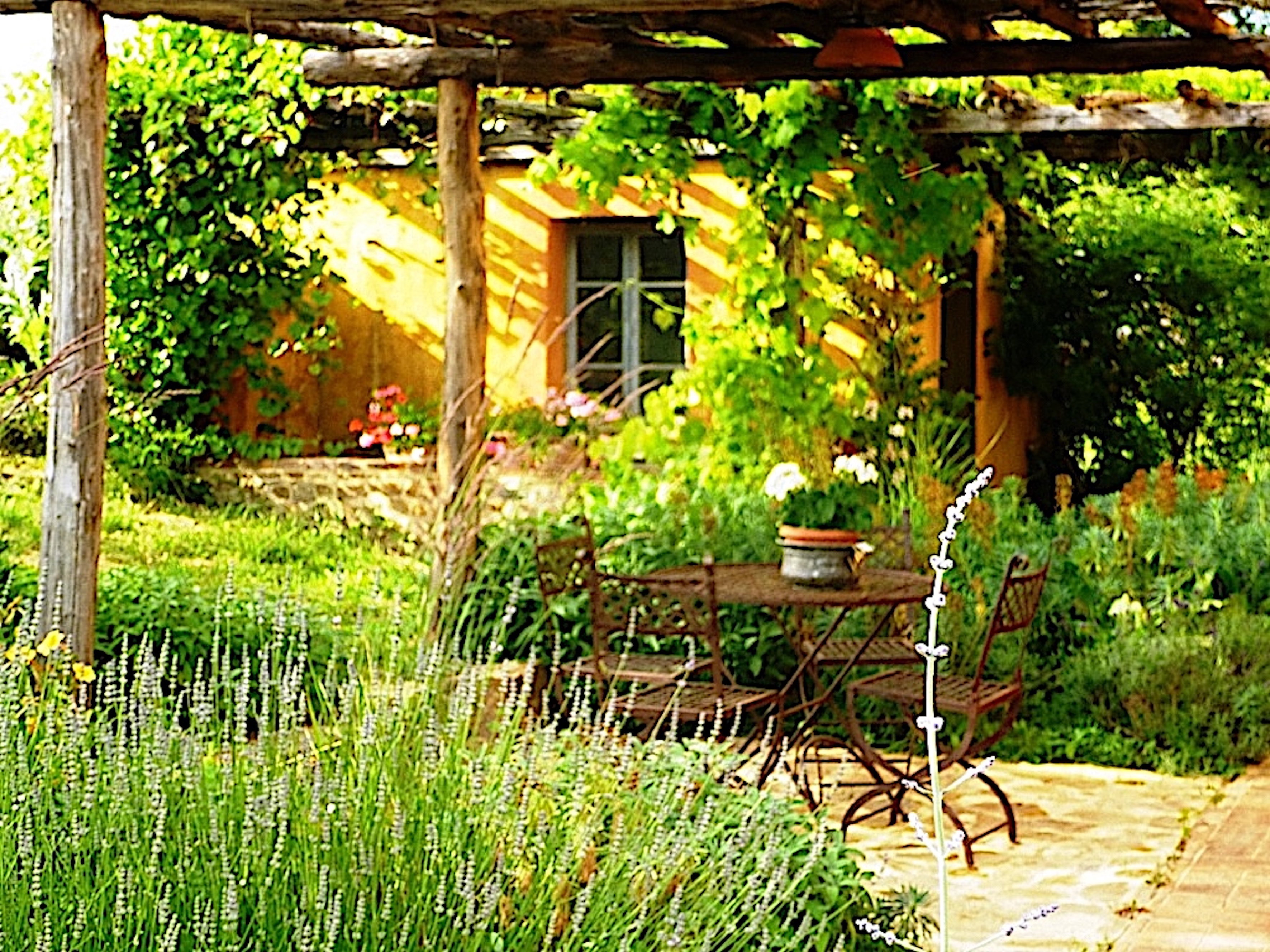 Maison nature à Santa Fiora