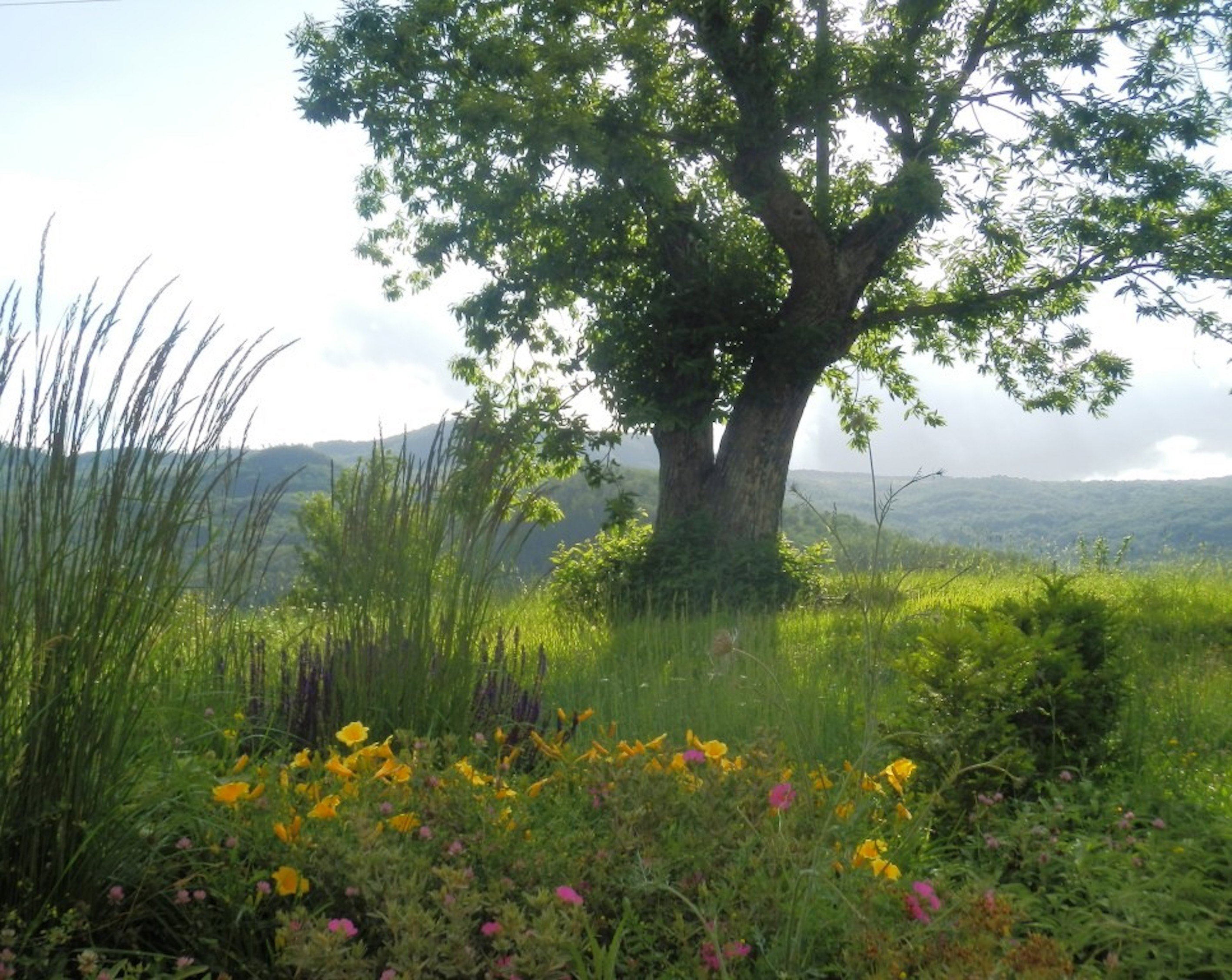Maison nature à Santa Fiora