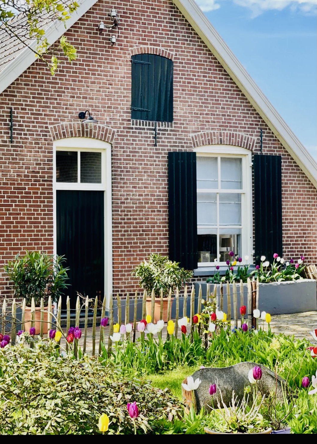 Natuurhuisje in Epse