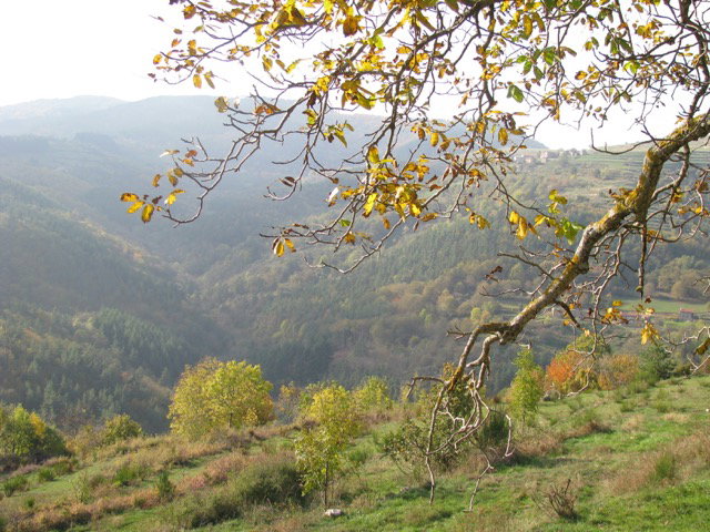 - image: 28