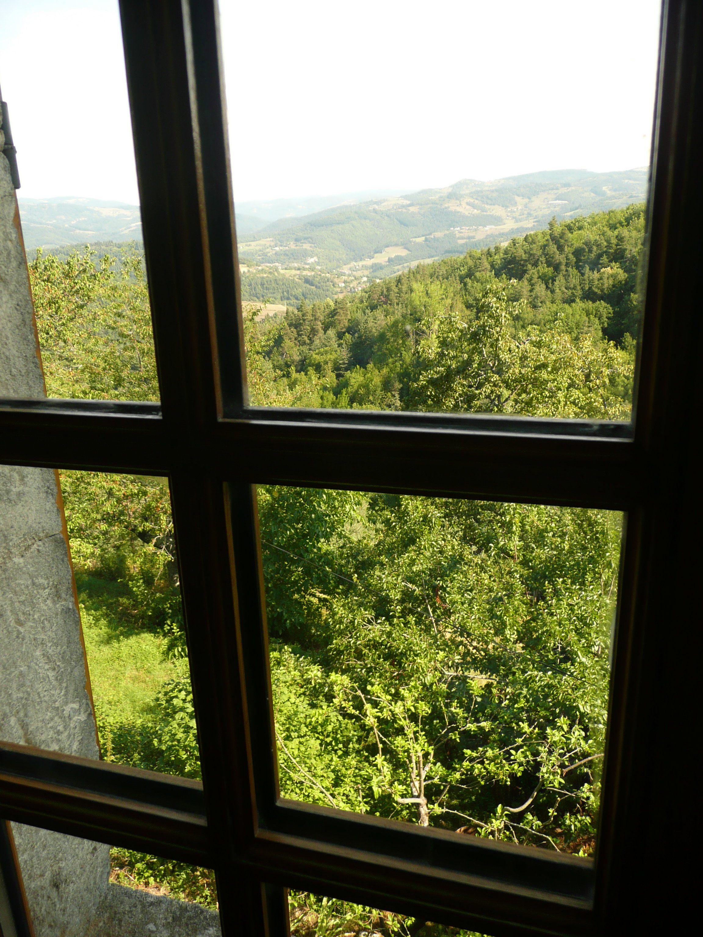- image: 13