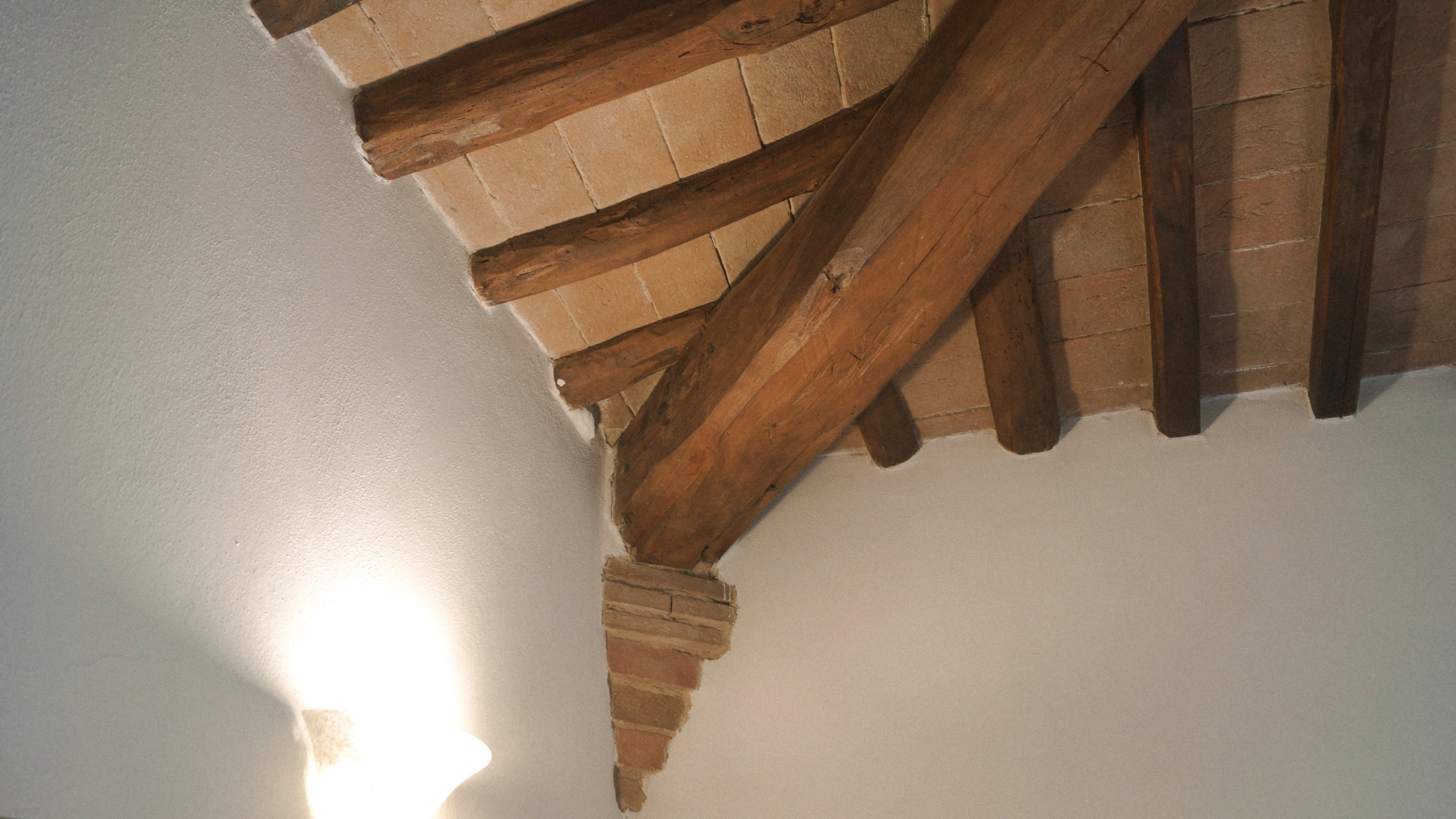 - image: 11