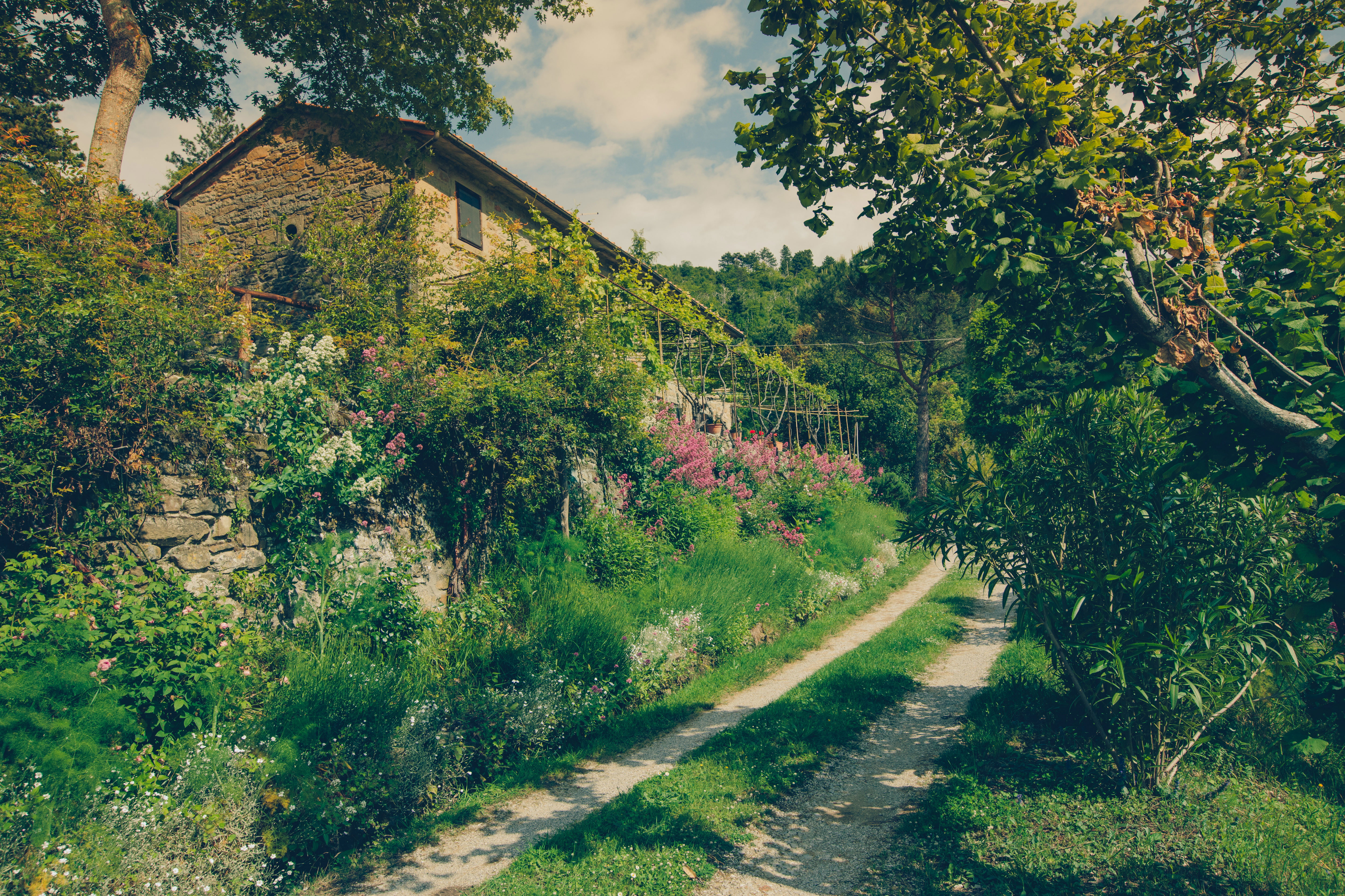 Casa nella natura a Cortona