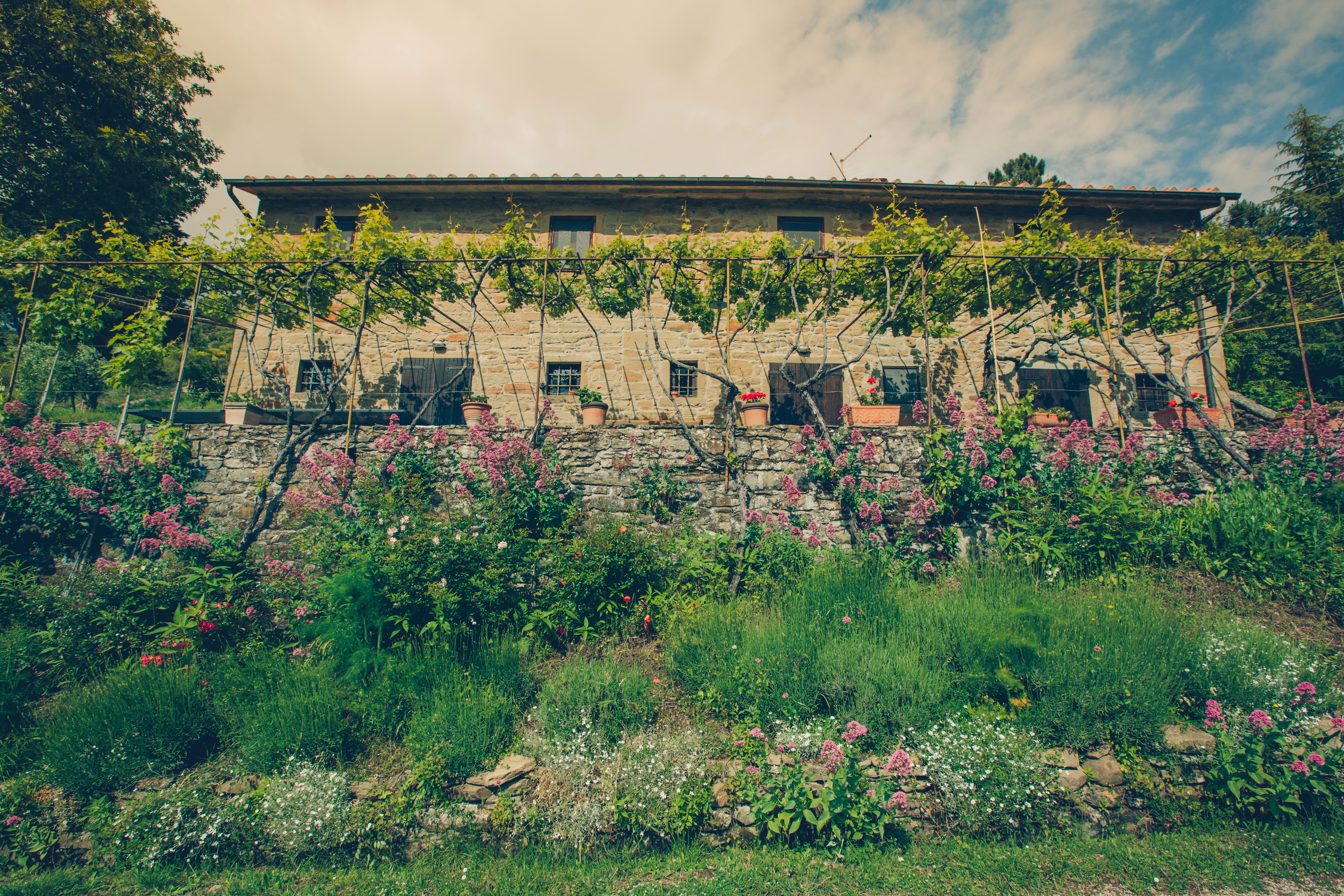 Casa nella natura a Cortona