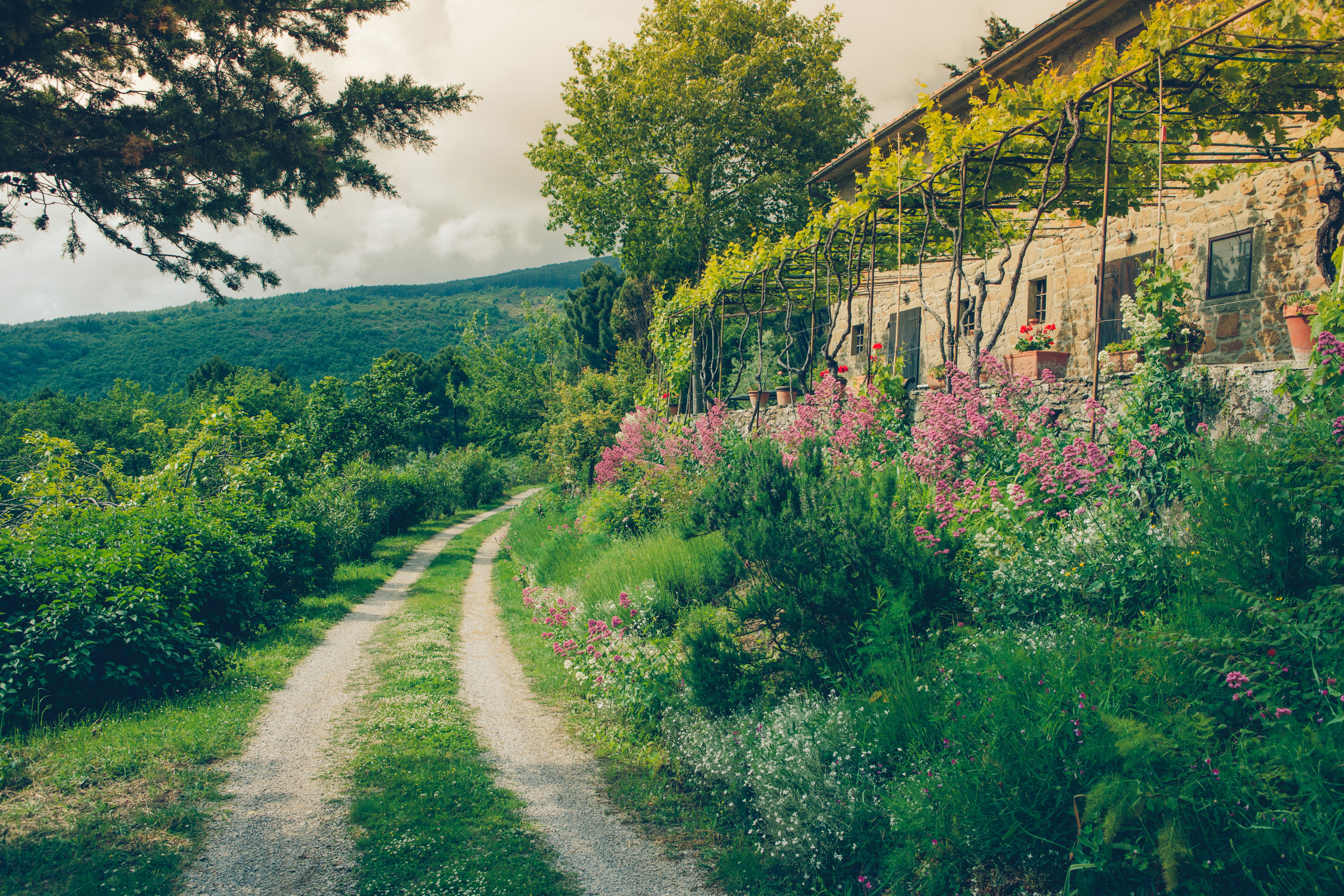 Casa nella natura a Cortona