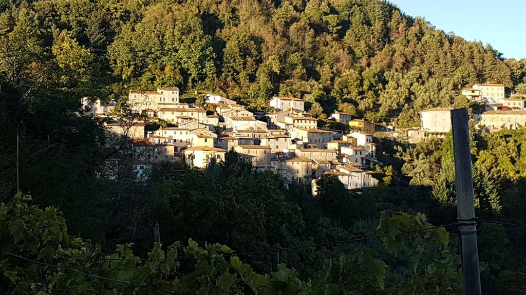 Natuurhuisje in Camaiore  Gombitelli