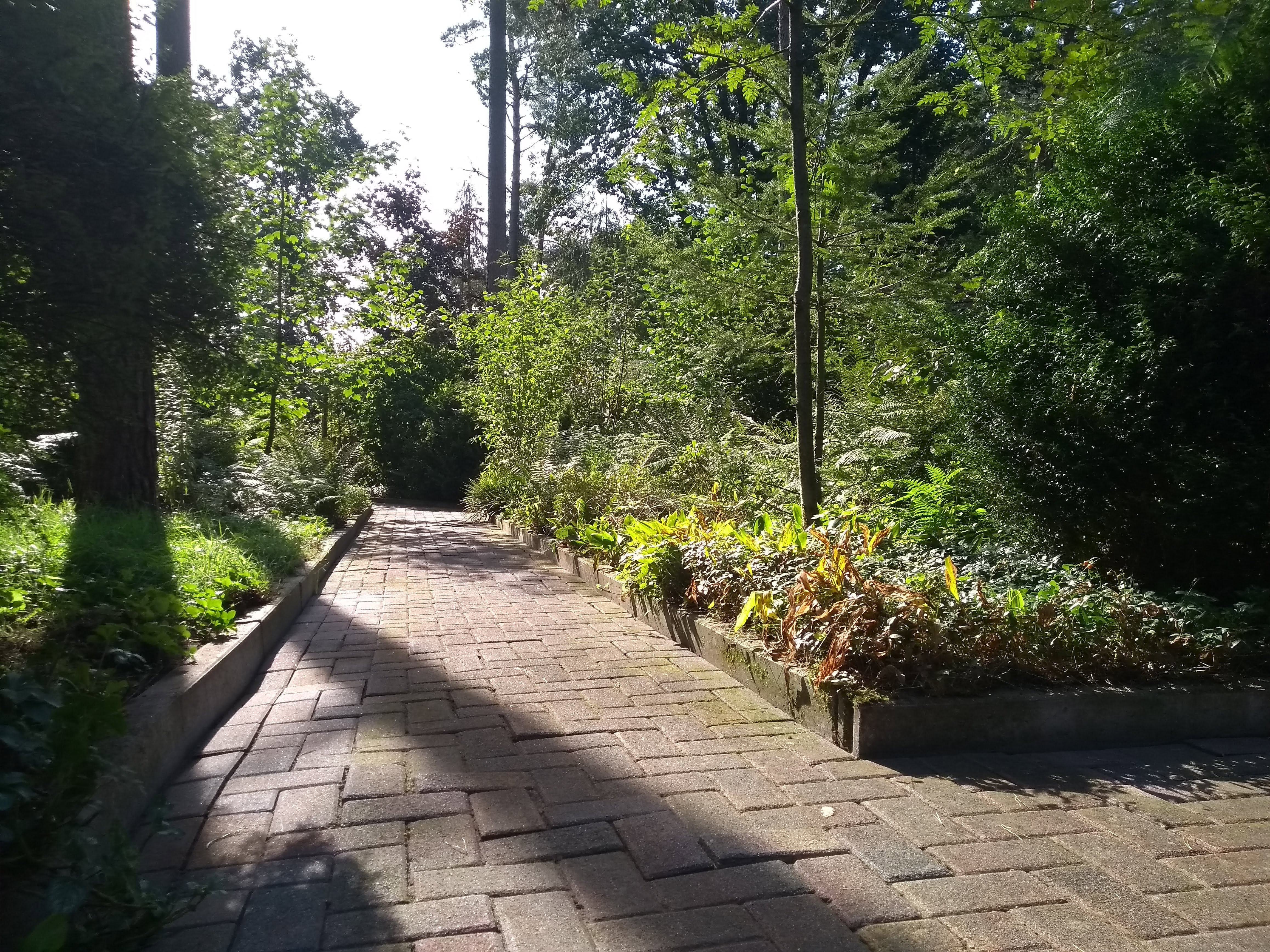 Natuurhuisje in Doornspijk