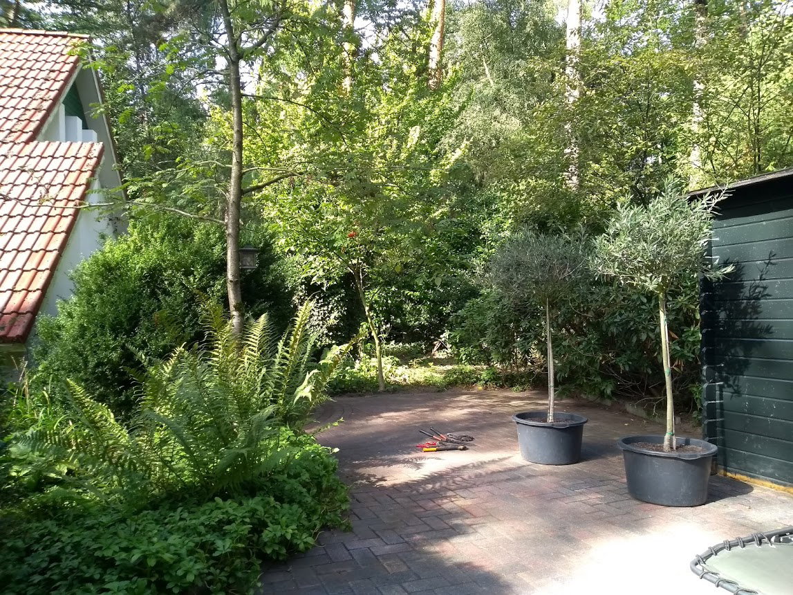 Natuurhuisje in Doornspijk