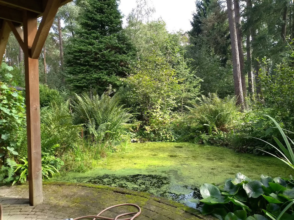 Natuurhuisje in Doornspijk