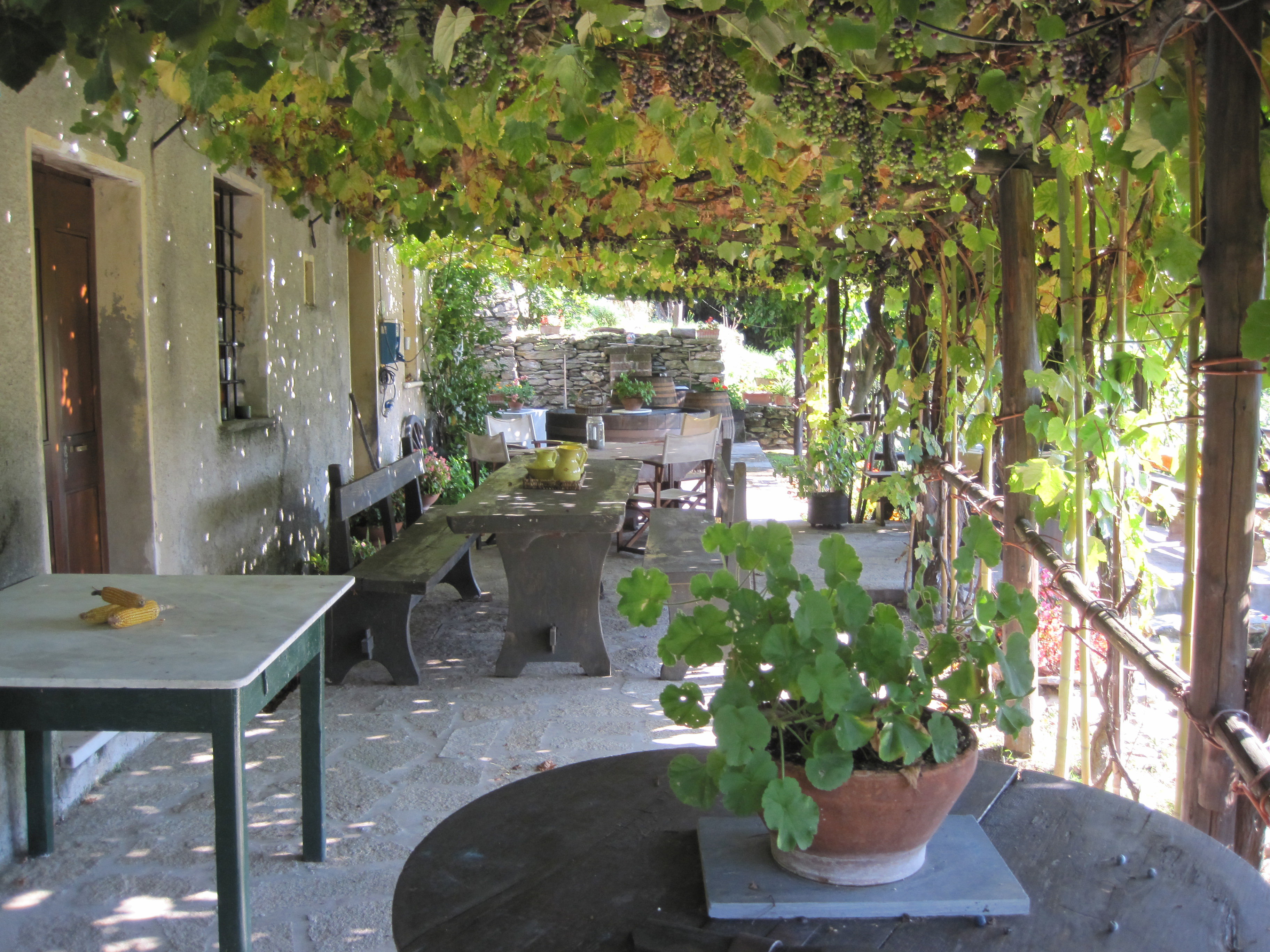 Casa nella natura a Pietrasanta  , loc. Strettoia