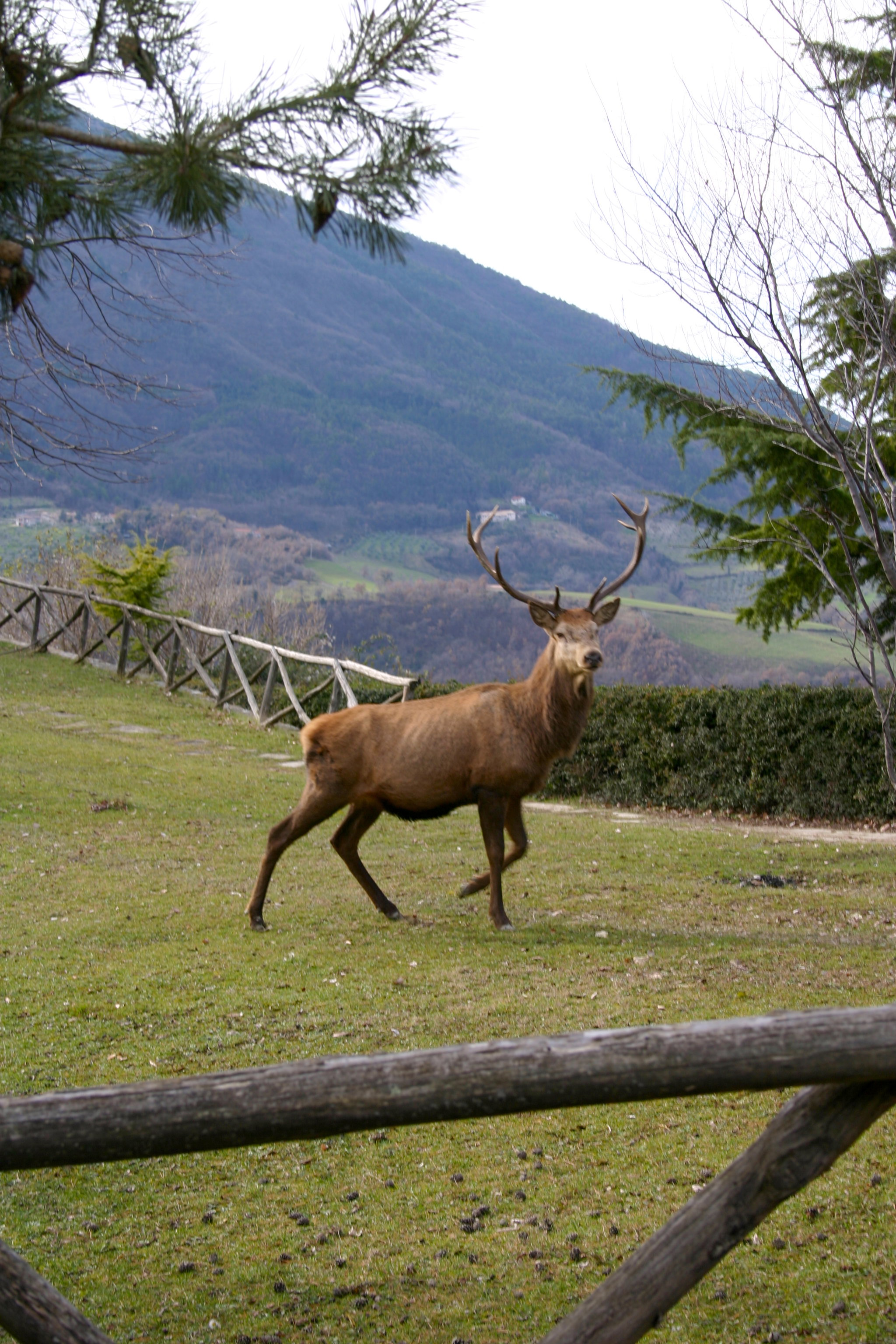 Casa nella natura a Assisi