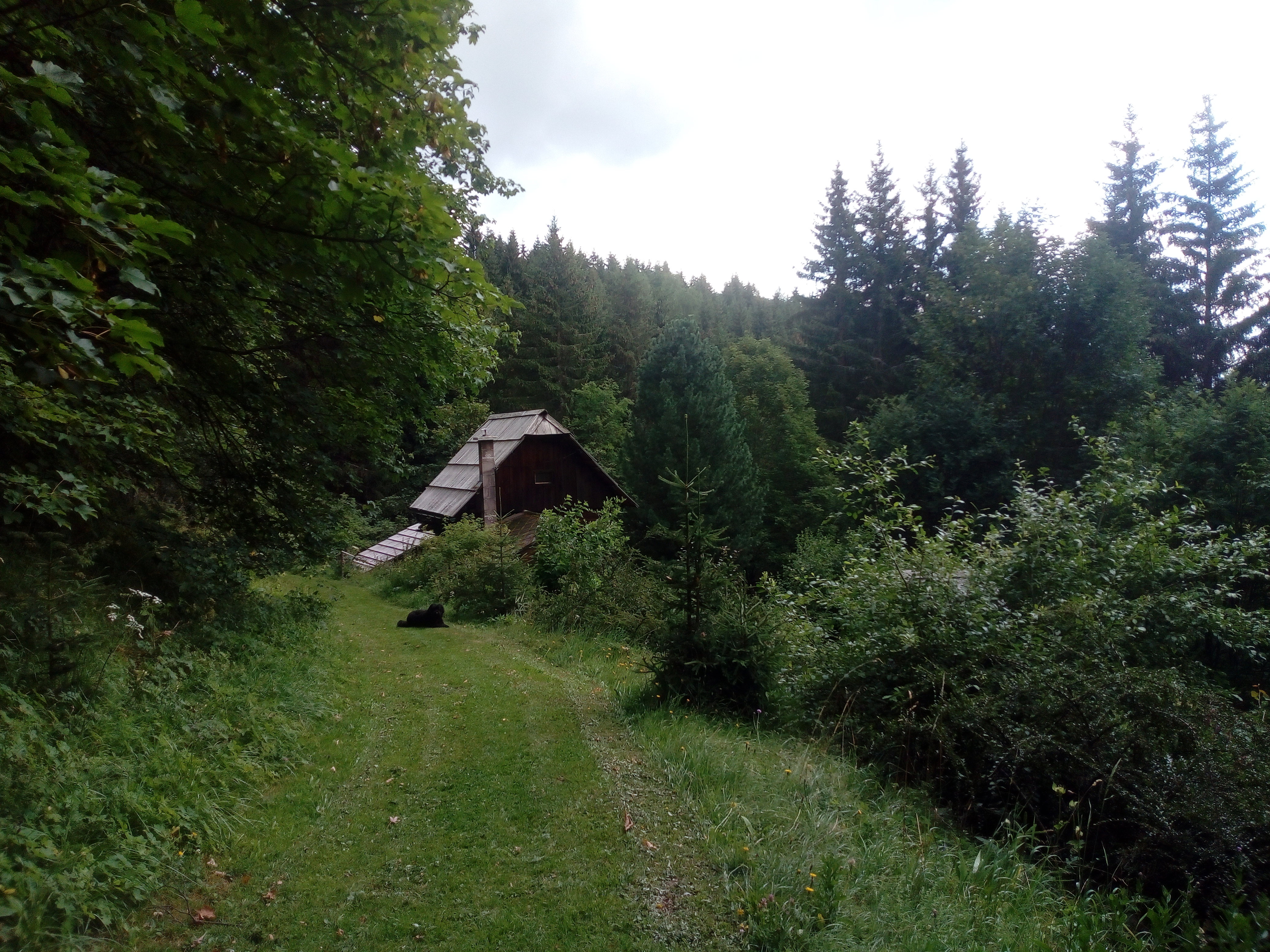 - image: 15