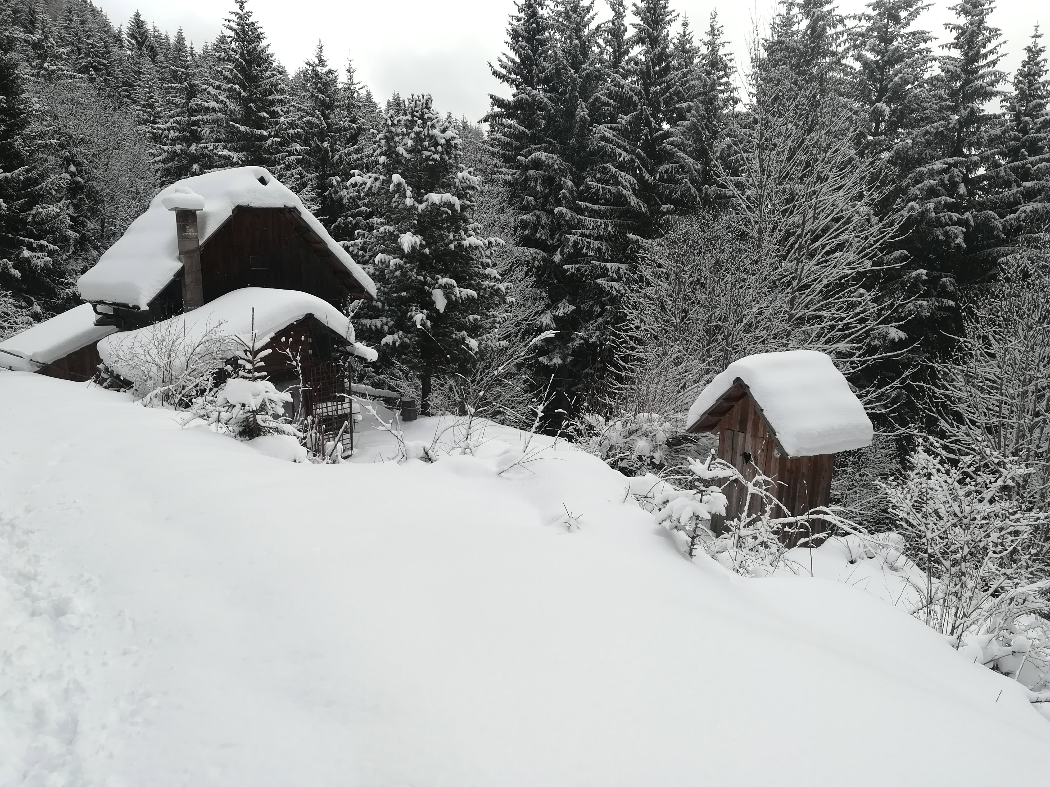 Natuurhuisje in Murau