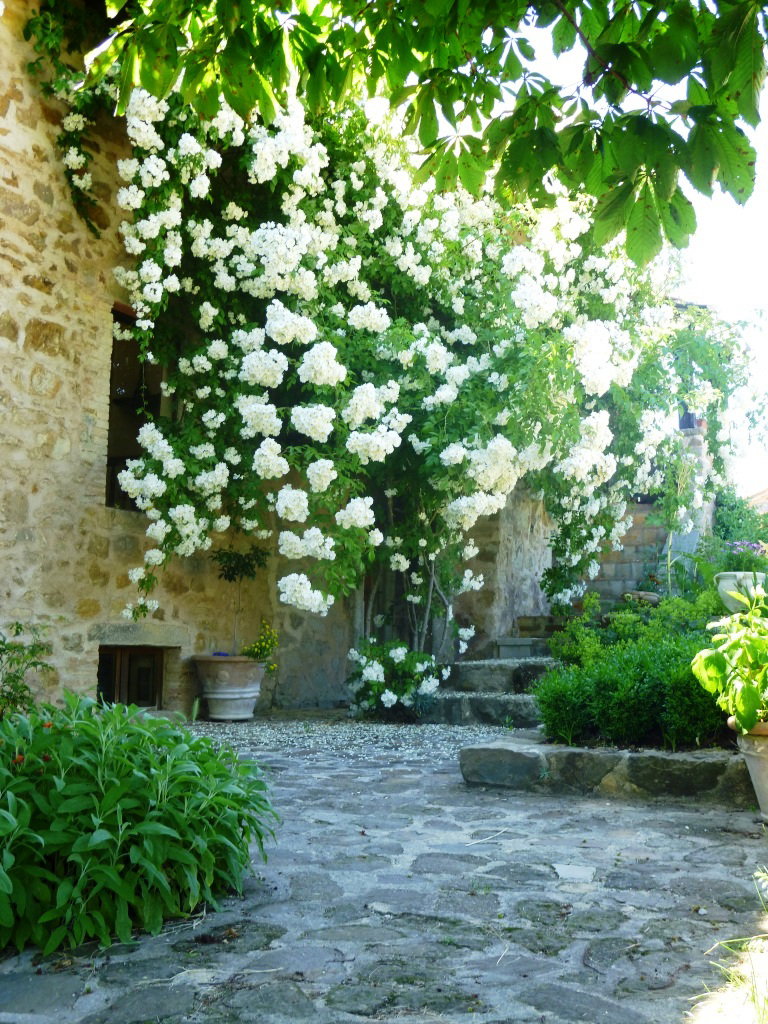 - image: 12