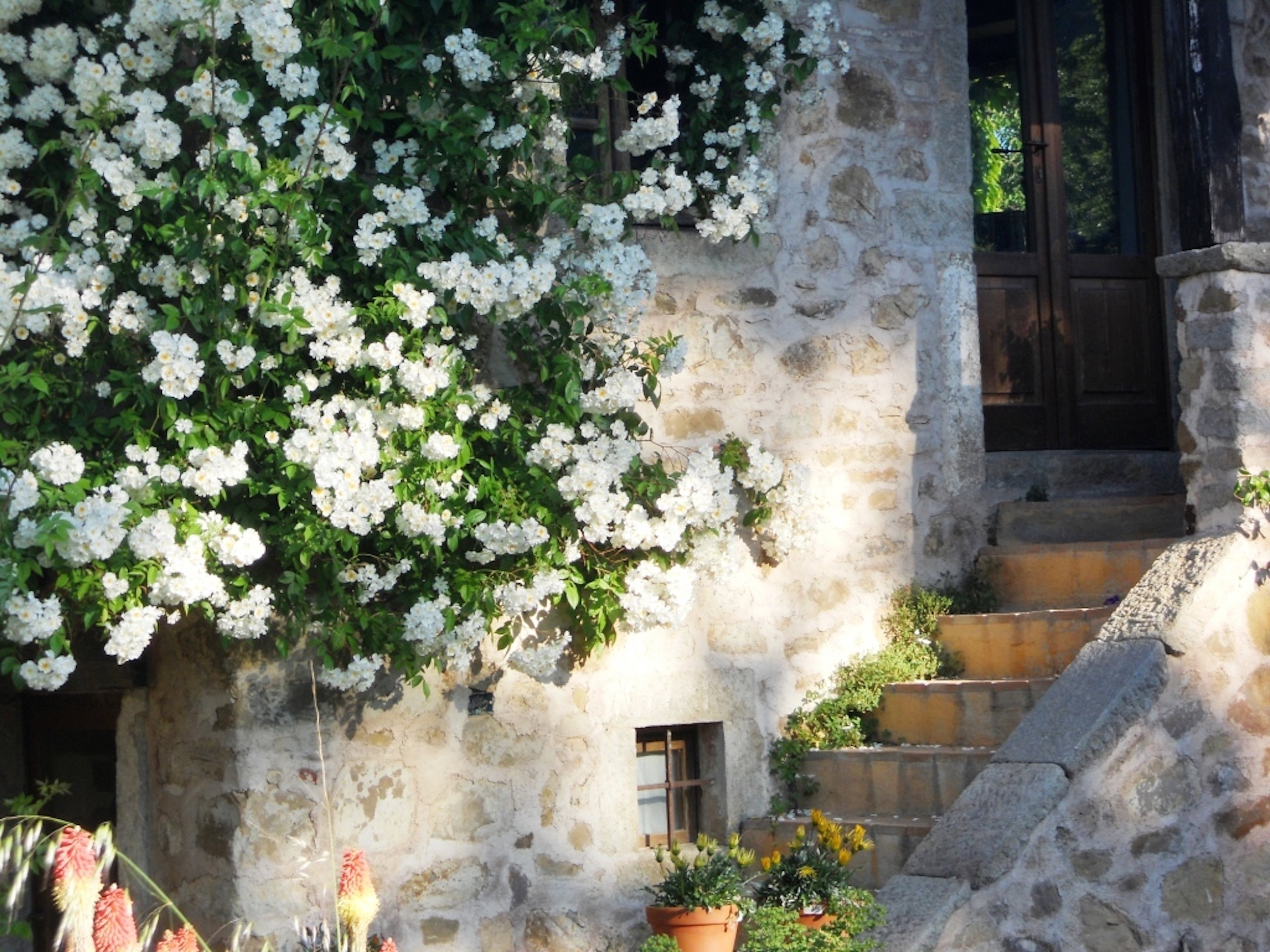 Maison nature à Santa Fiora