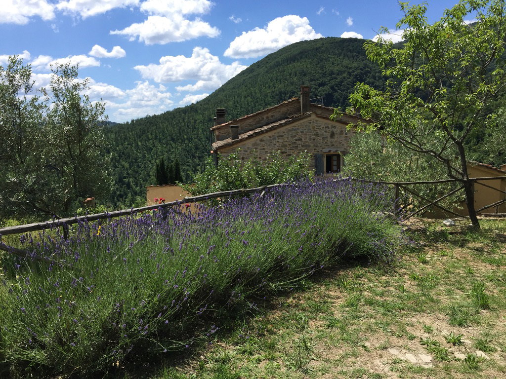 Maison nature à FIRENZE, MUGELLO, VAGLIA (Sitriano)