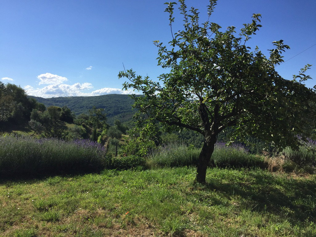 Maison nature à FIRENZE, MUGELLO, VAGLIA (Sitriano)