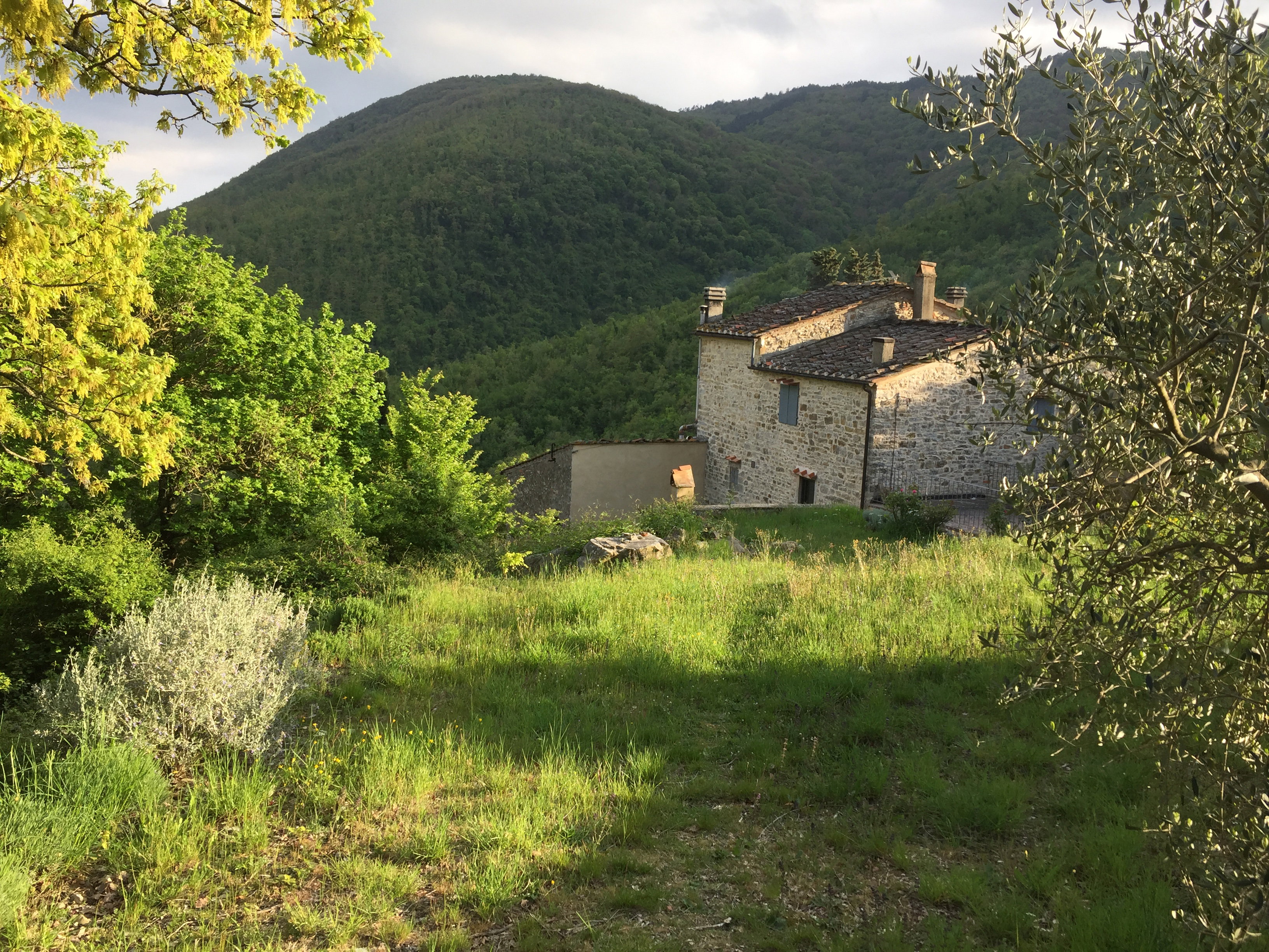 Maison nature à FIRENZE, MUGELLO, VAGLIA (Sitriano)