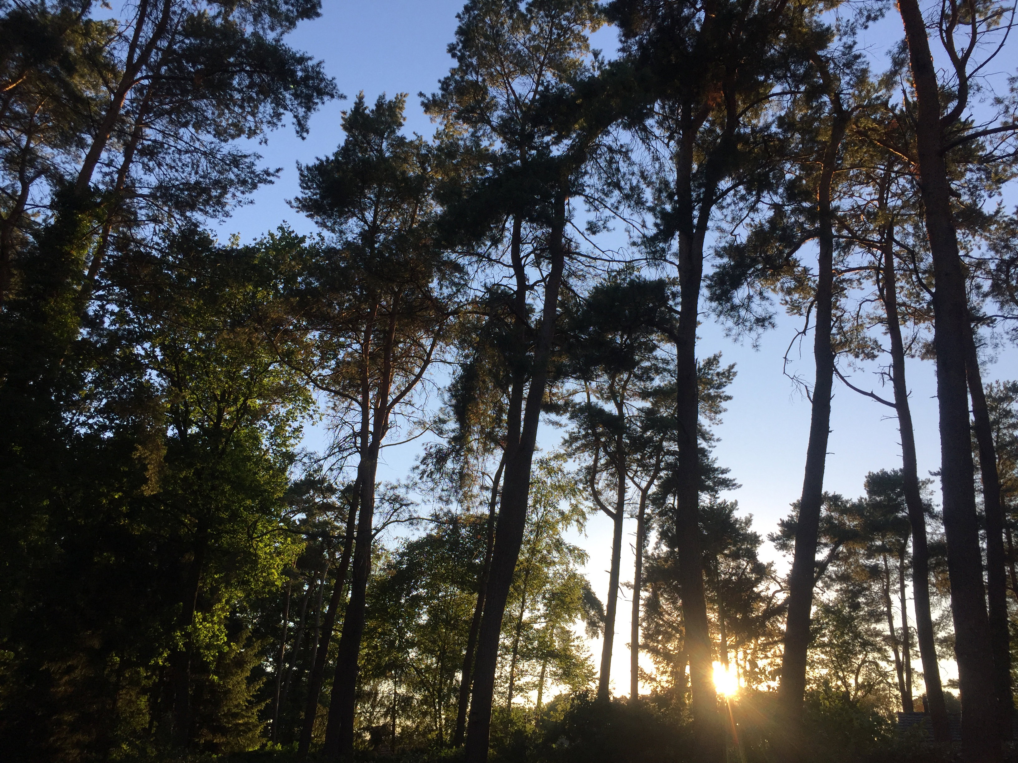 Naturhäuschen in Haaksbergen