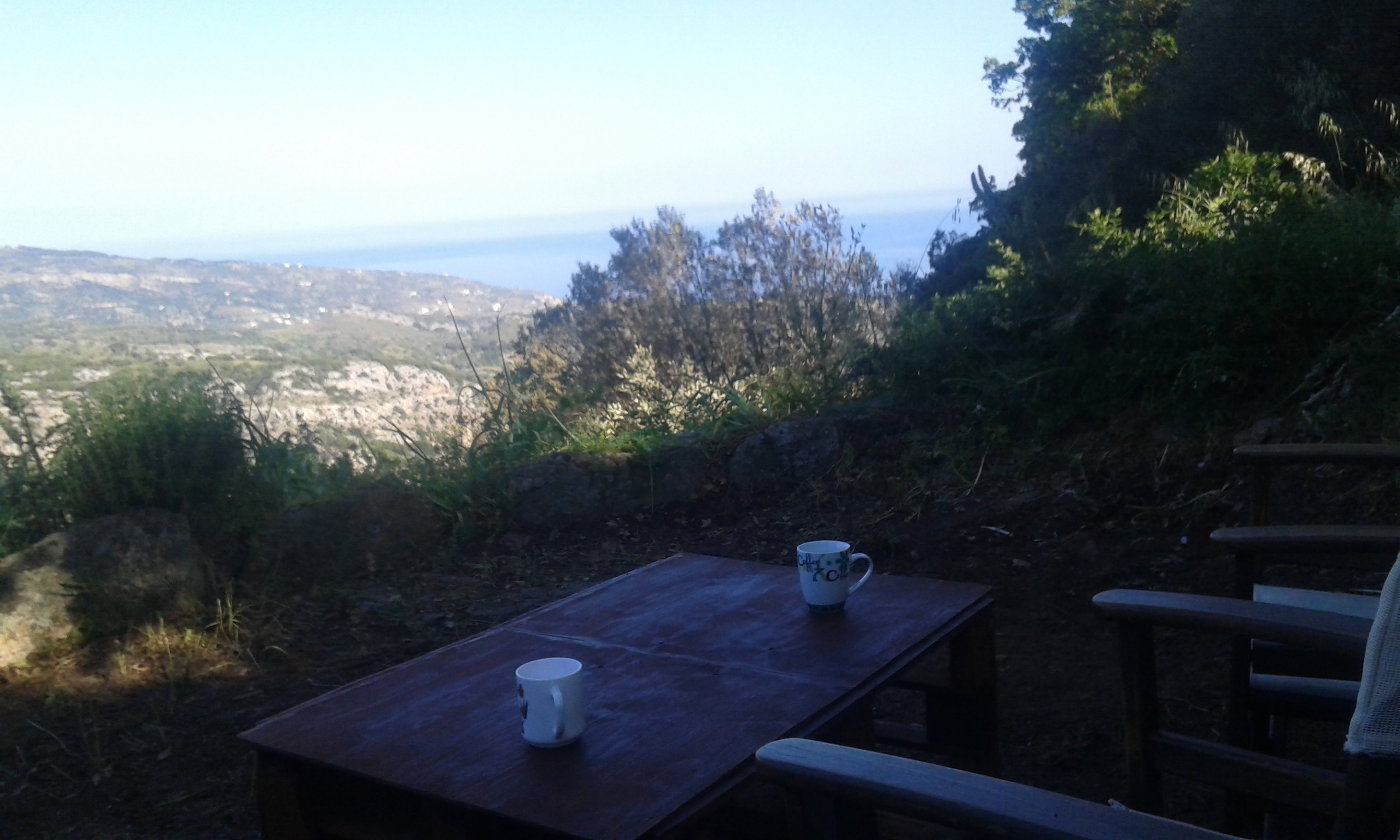 - image: 33