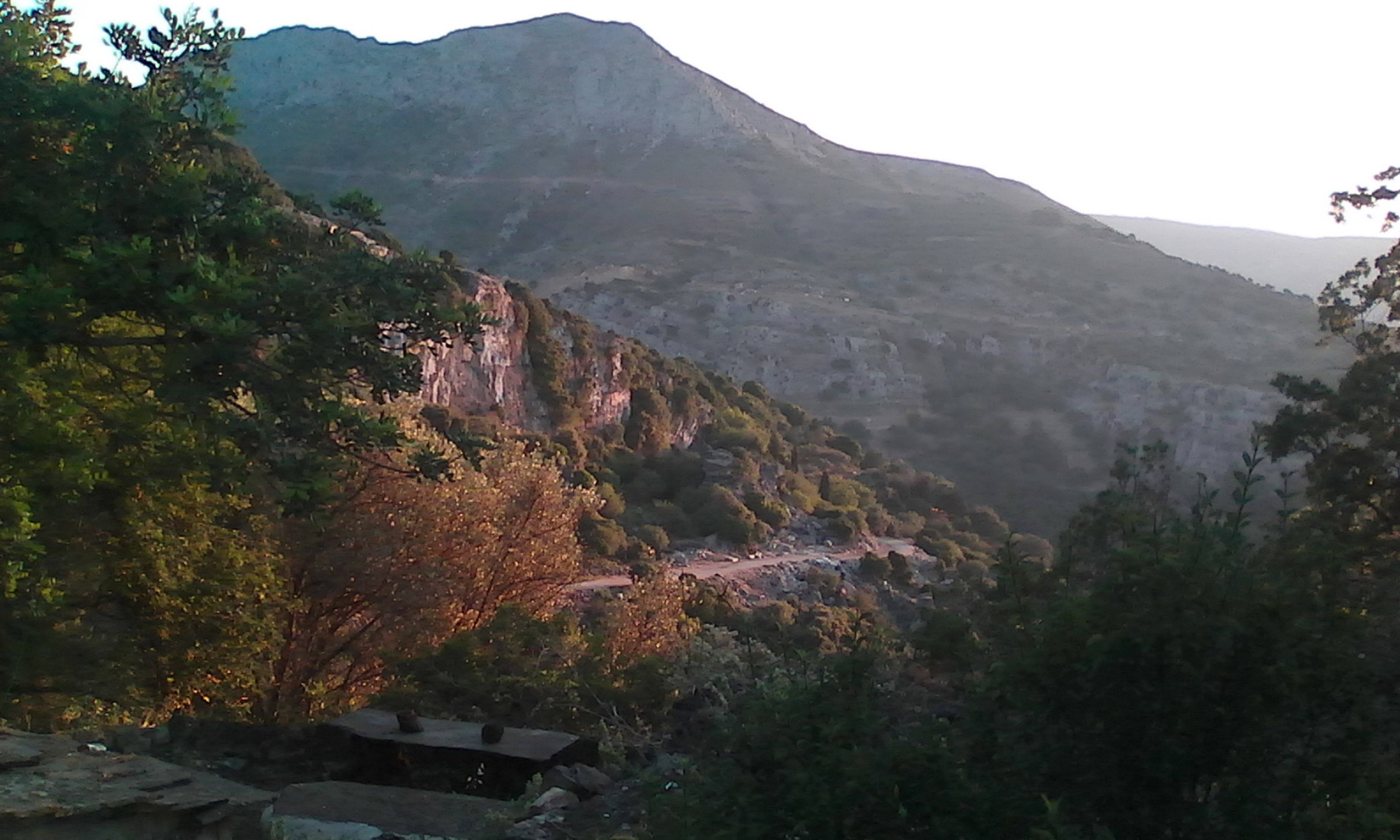 - image: 25