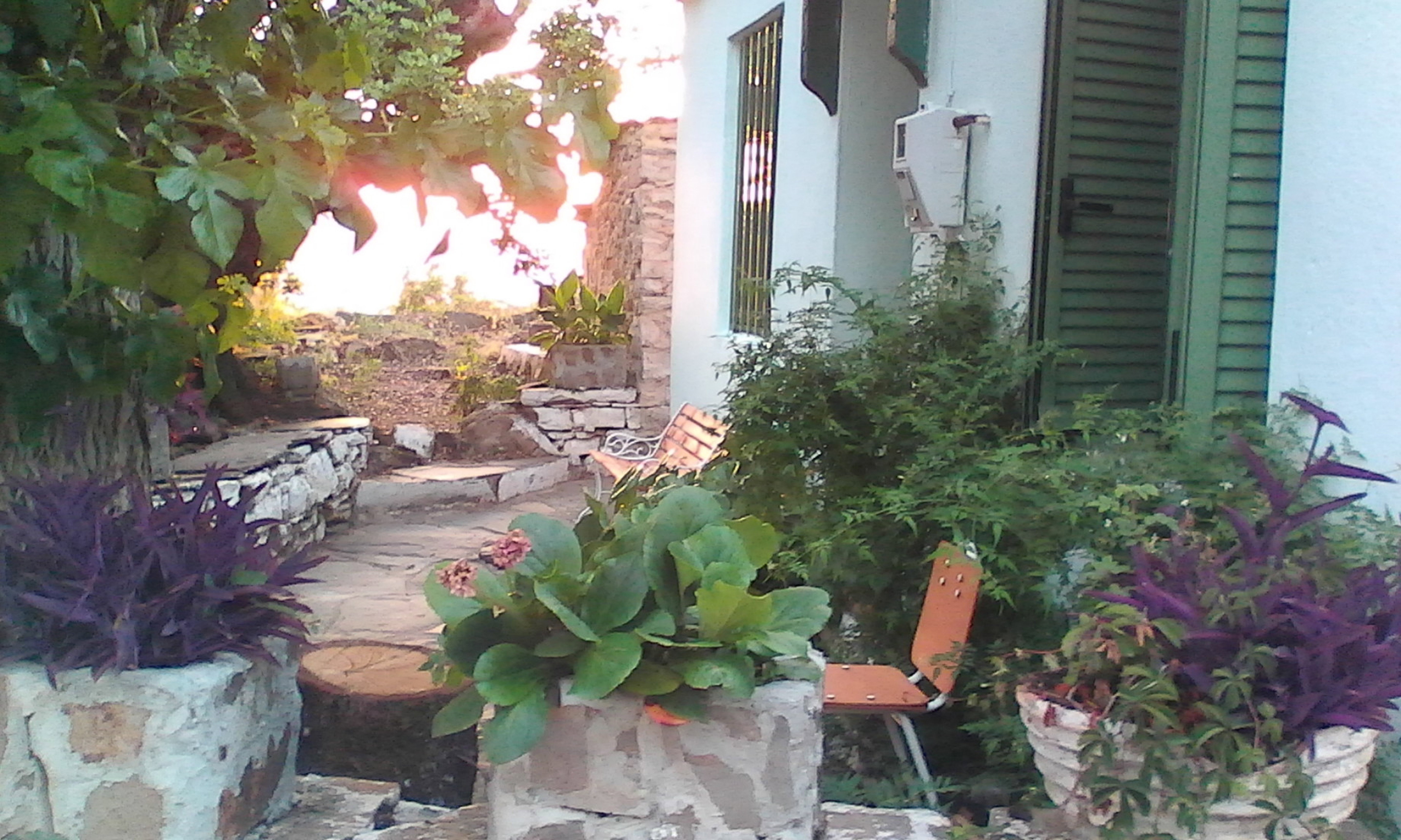 - image: 1