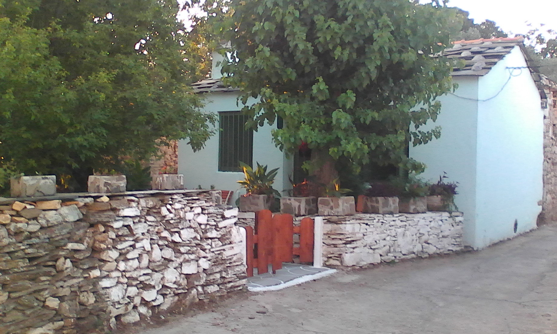 - image: 24