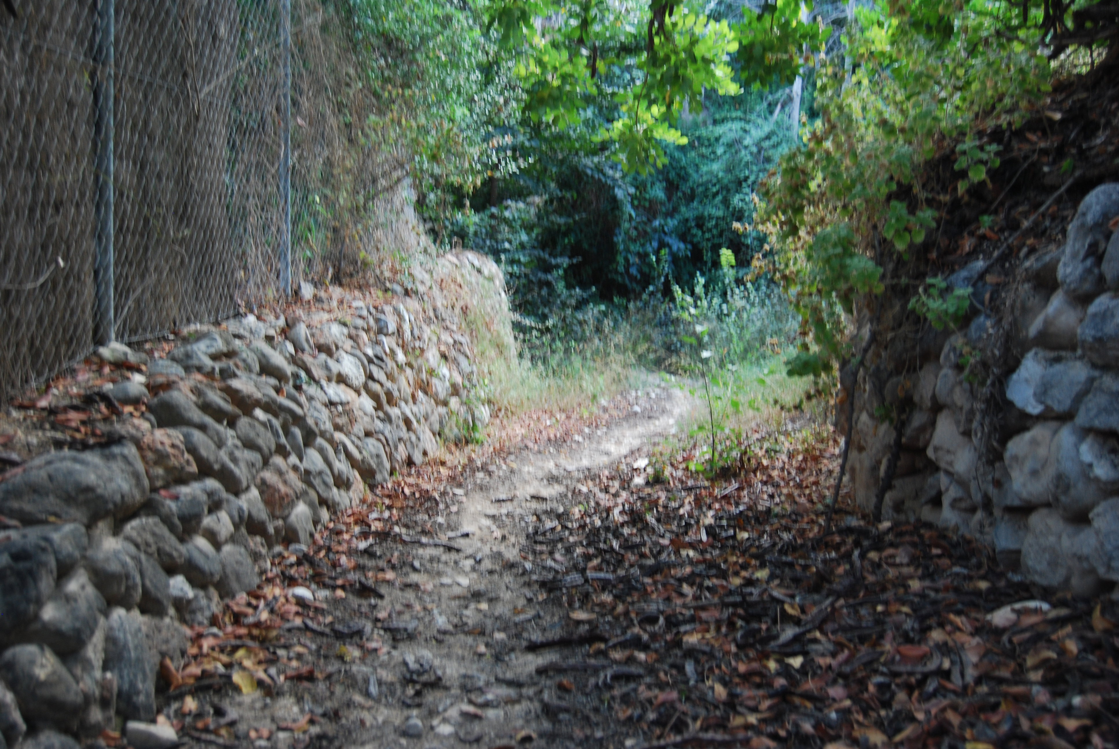 - image: 15