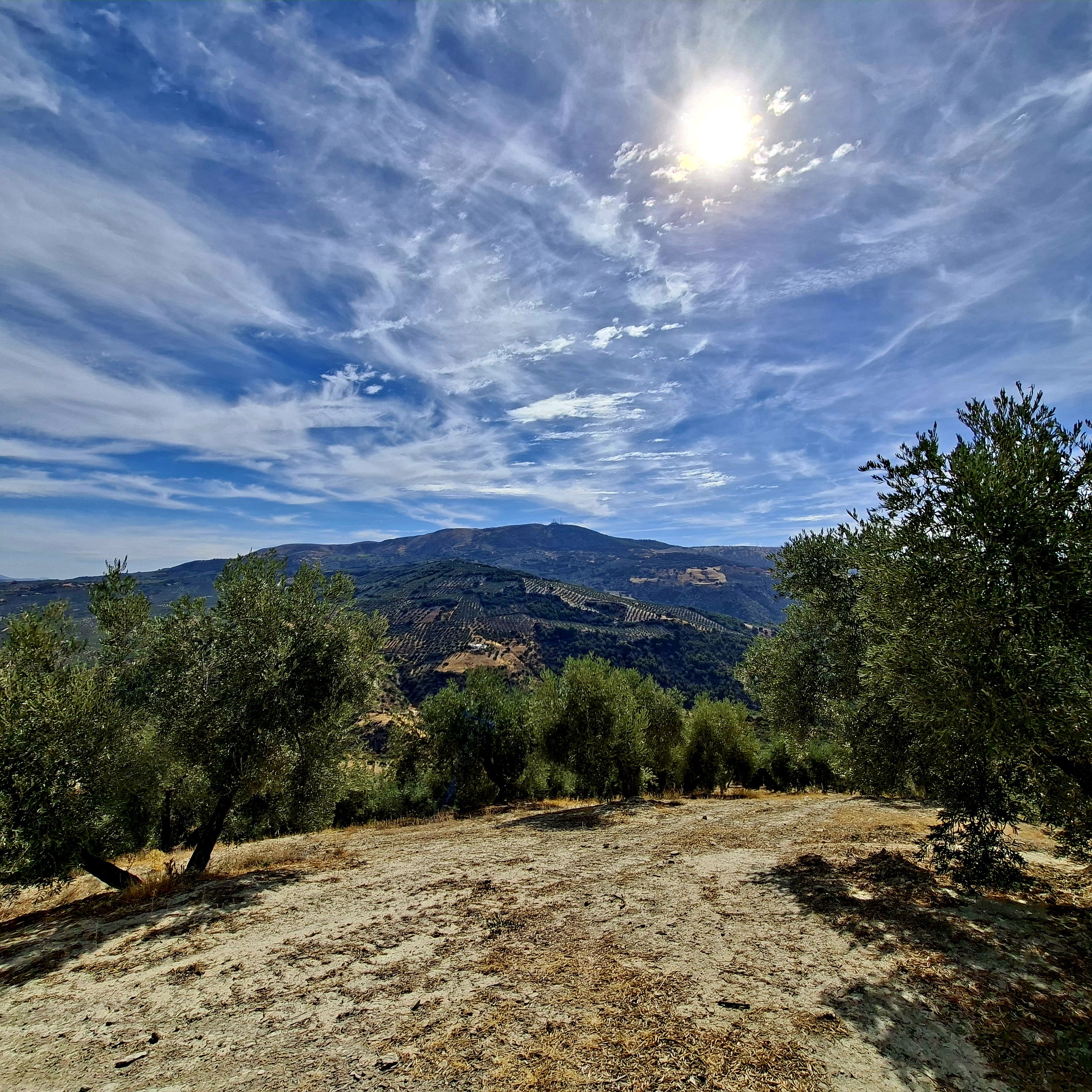 - image: 25