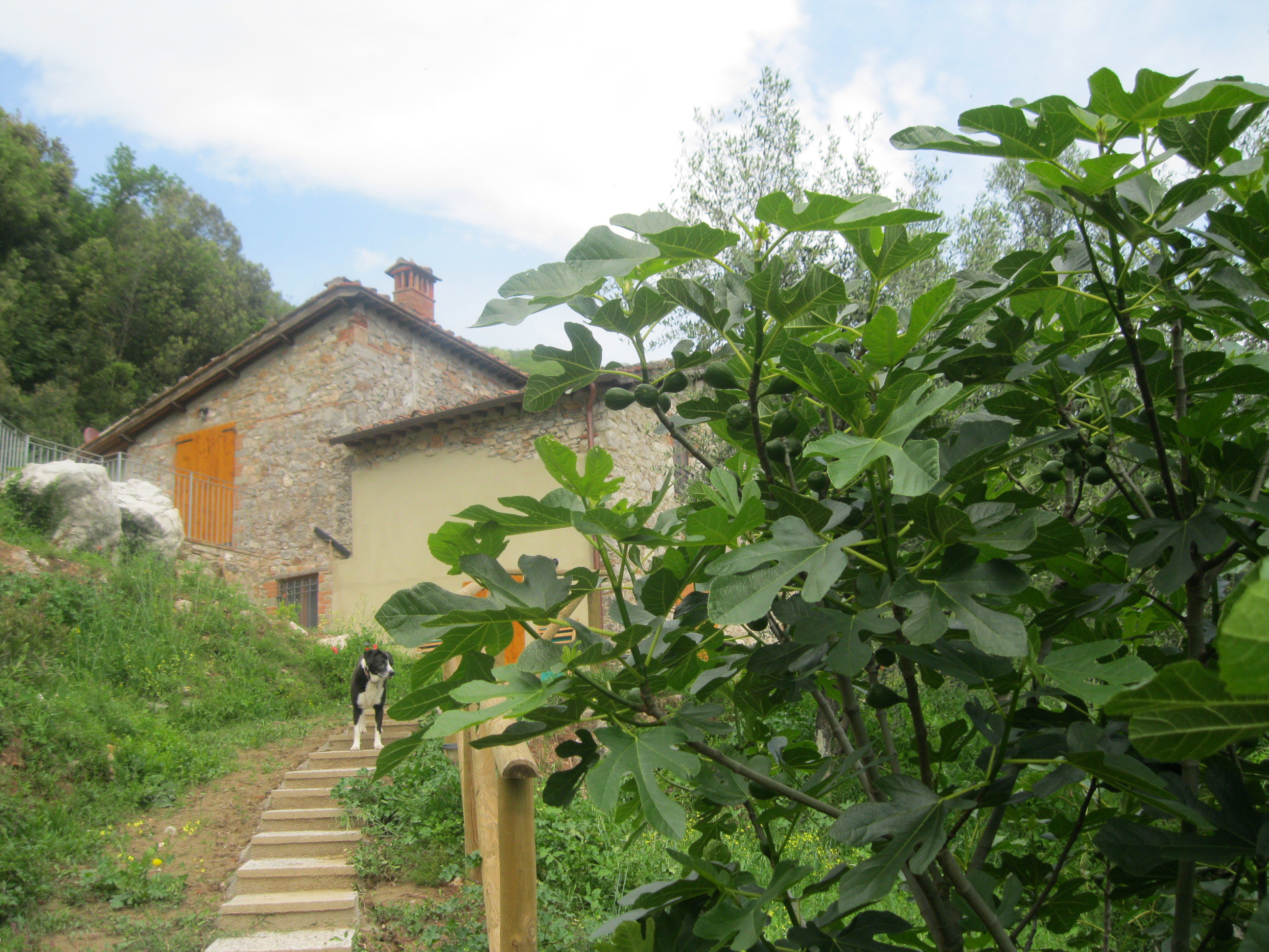 Natuurhuisje in Valdottavo,Borgo a Mozzano