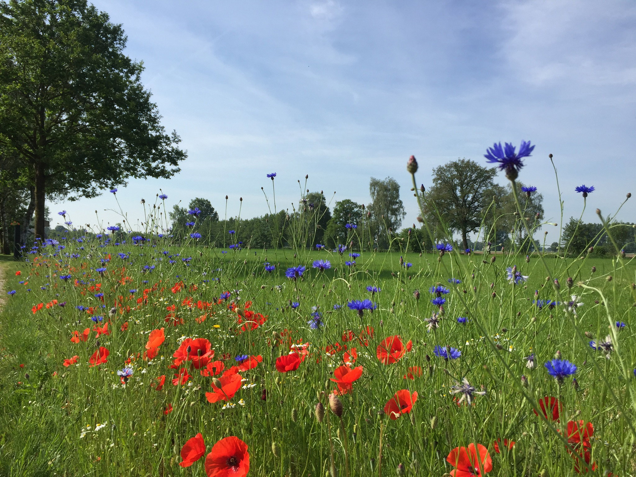 Natuurhuisje in Sinderen