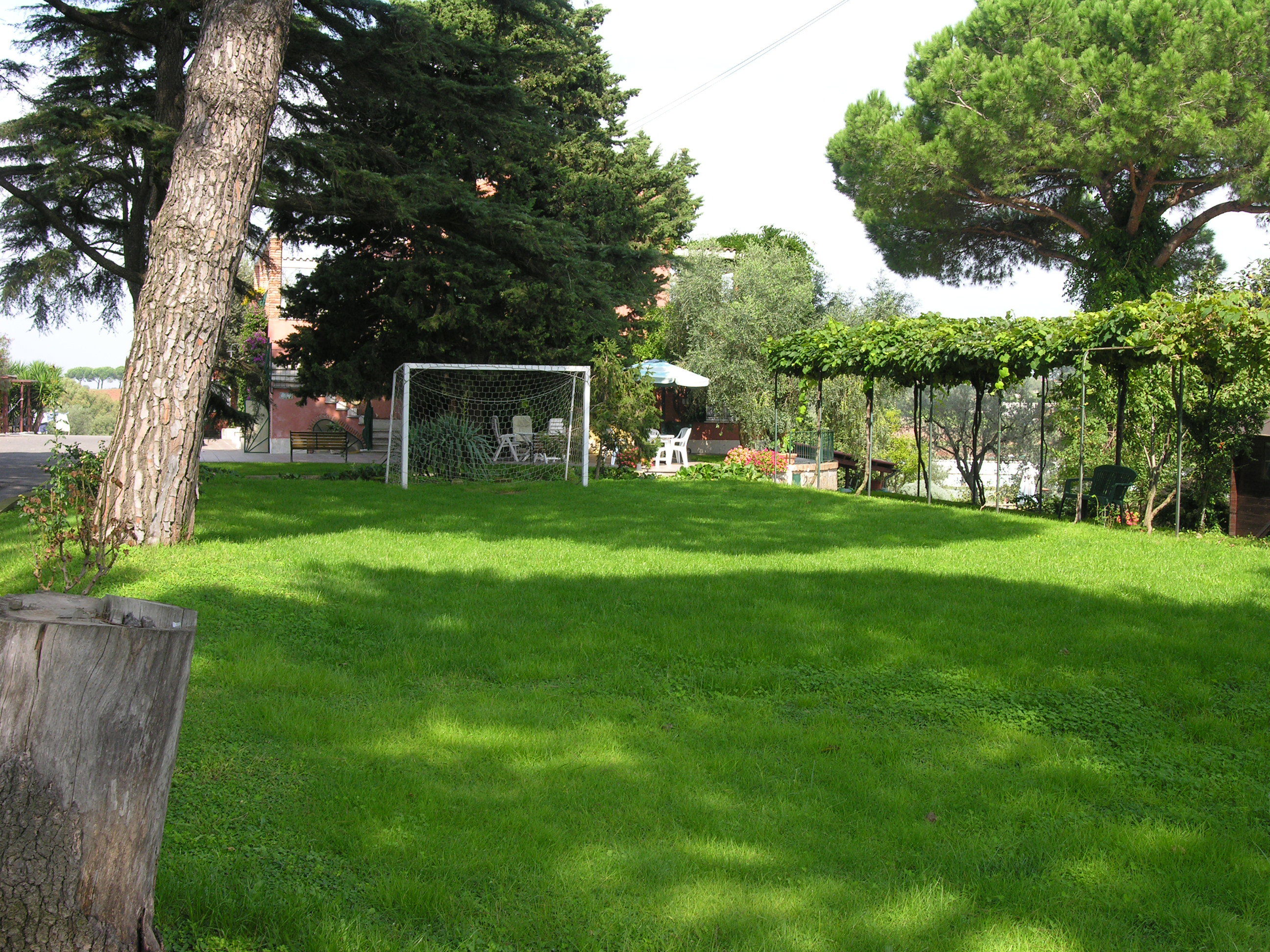 - image: 25