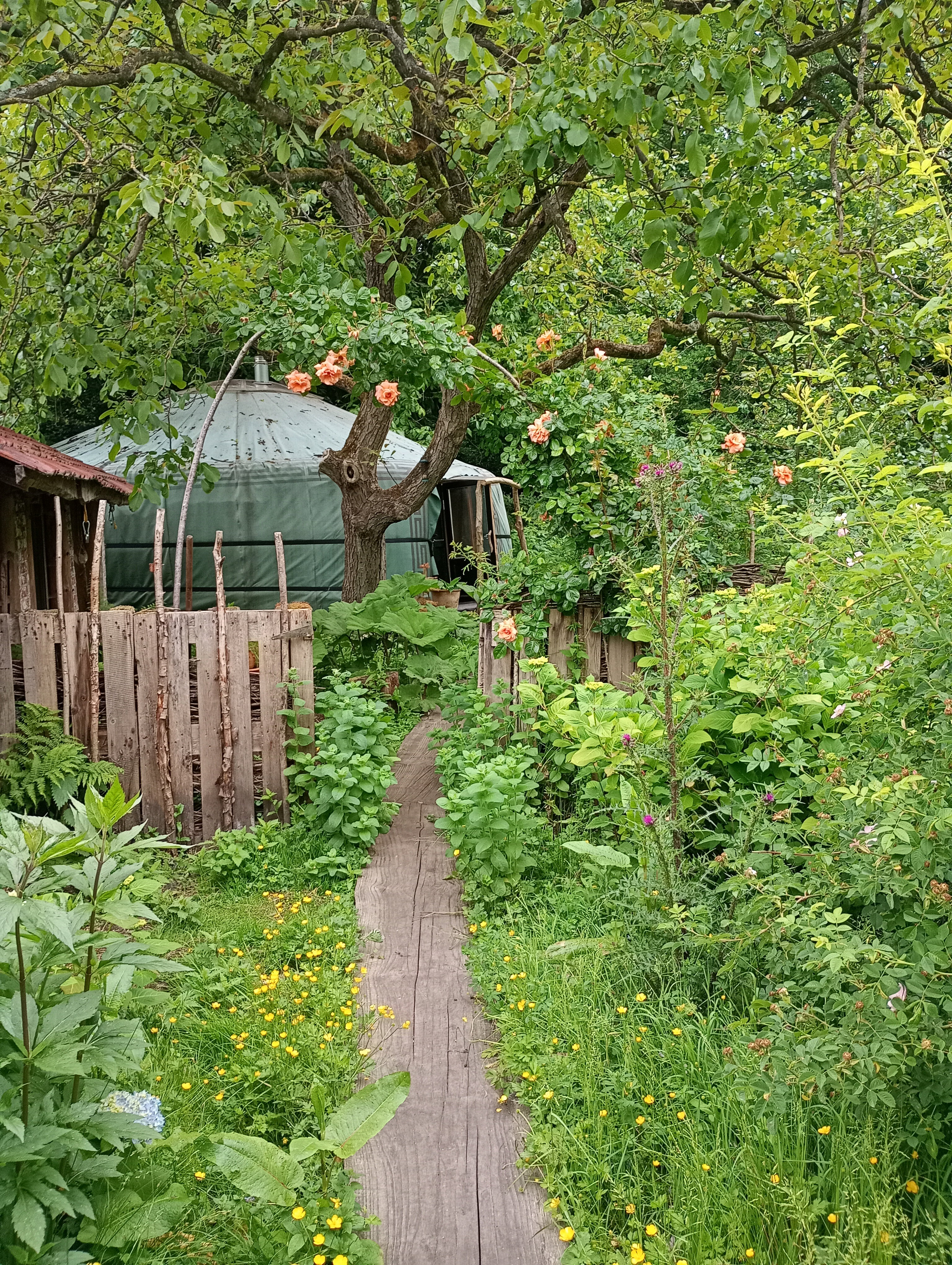 Natuurhuisje in Waardamme