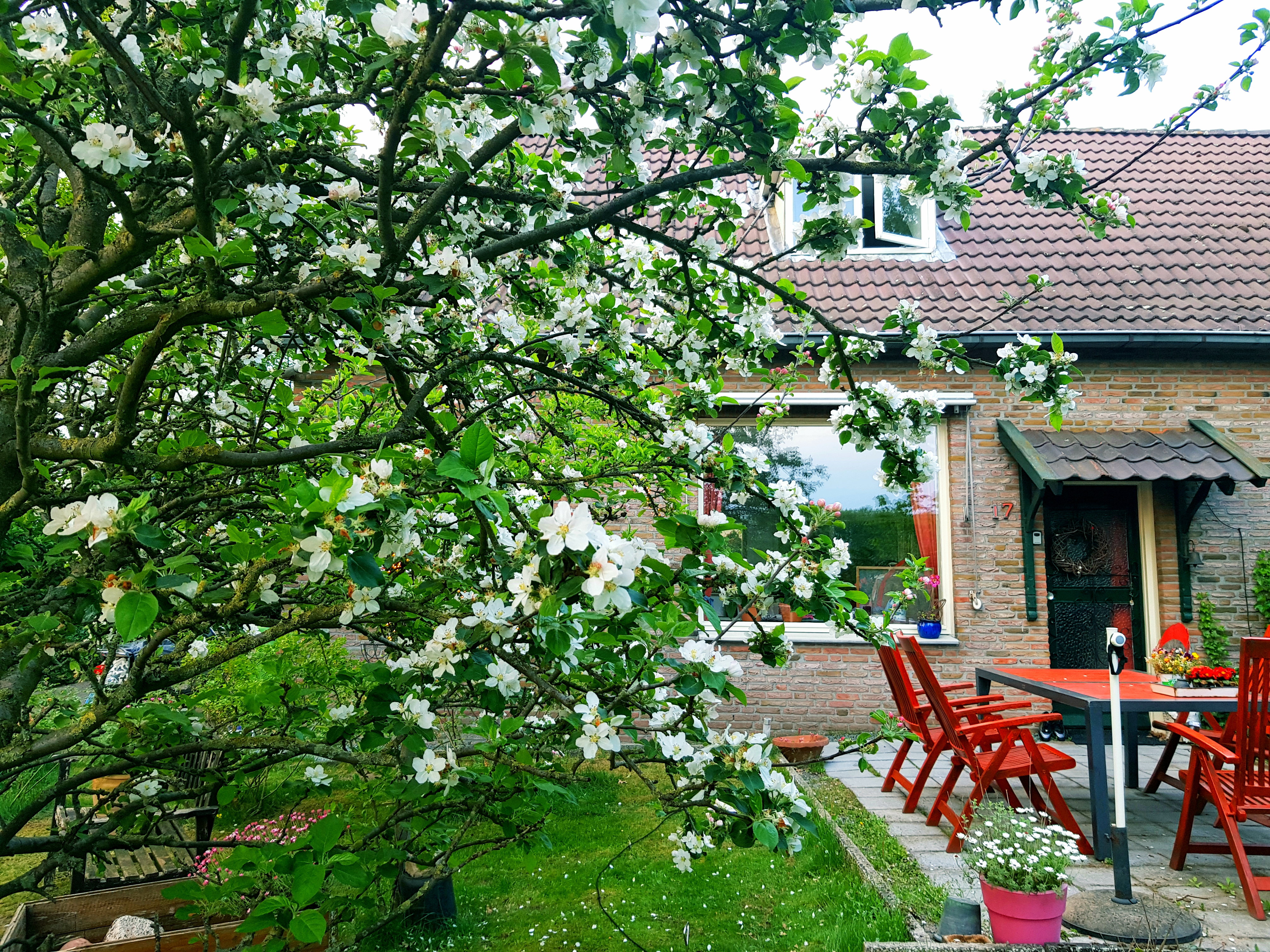 Maison nature à Overdinkel