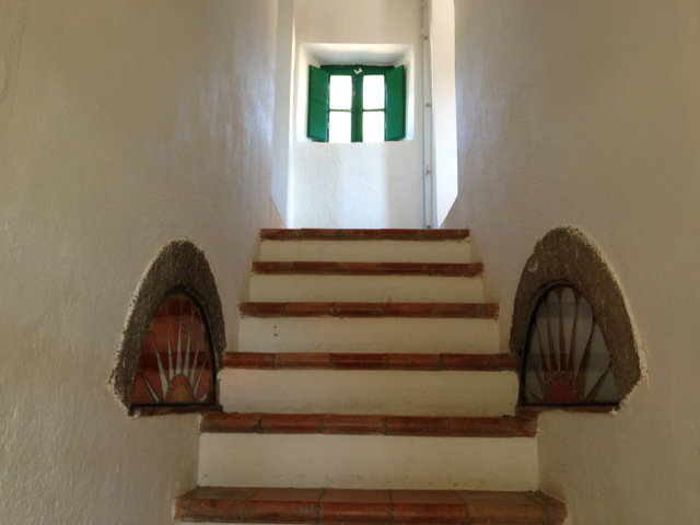 - image: 12
