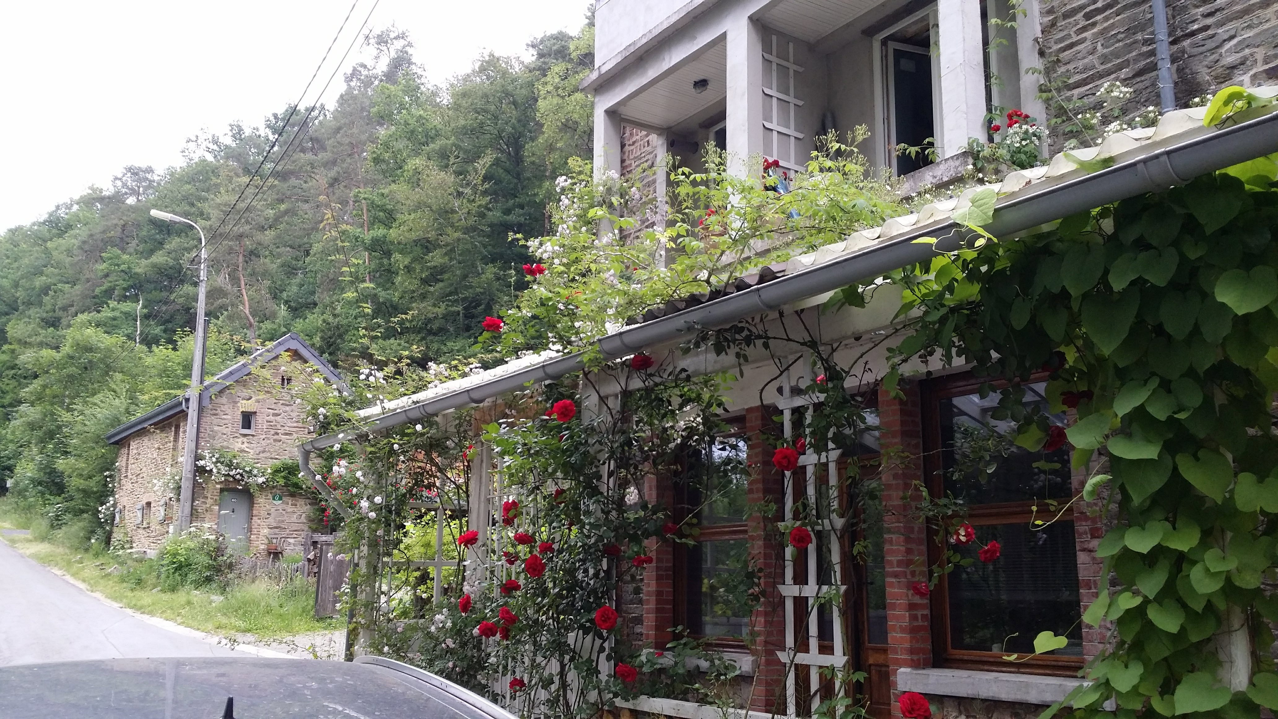 Nature house in Stoumont