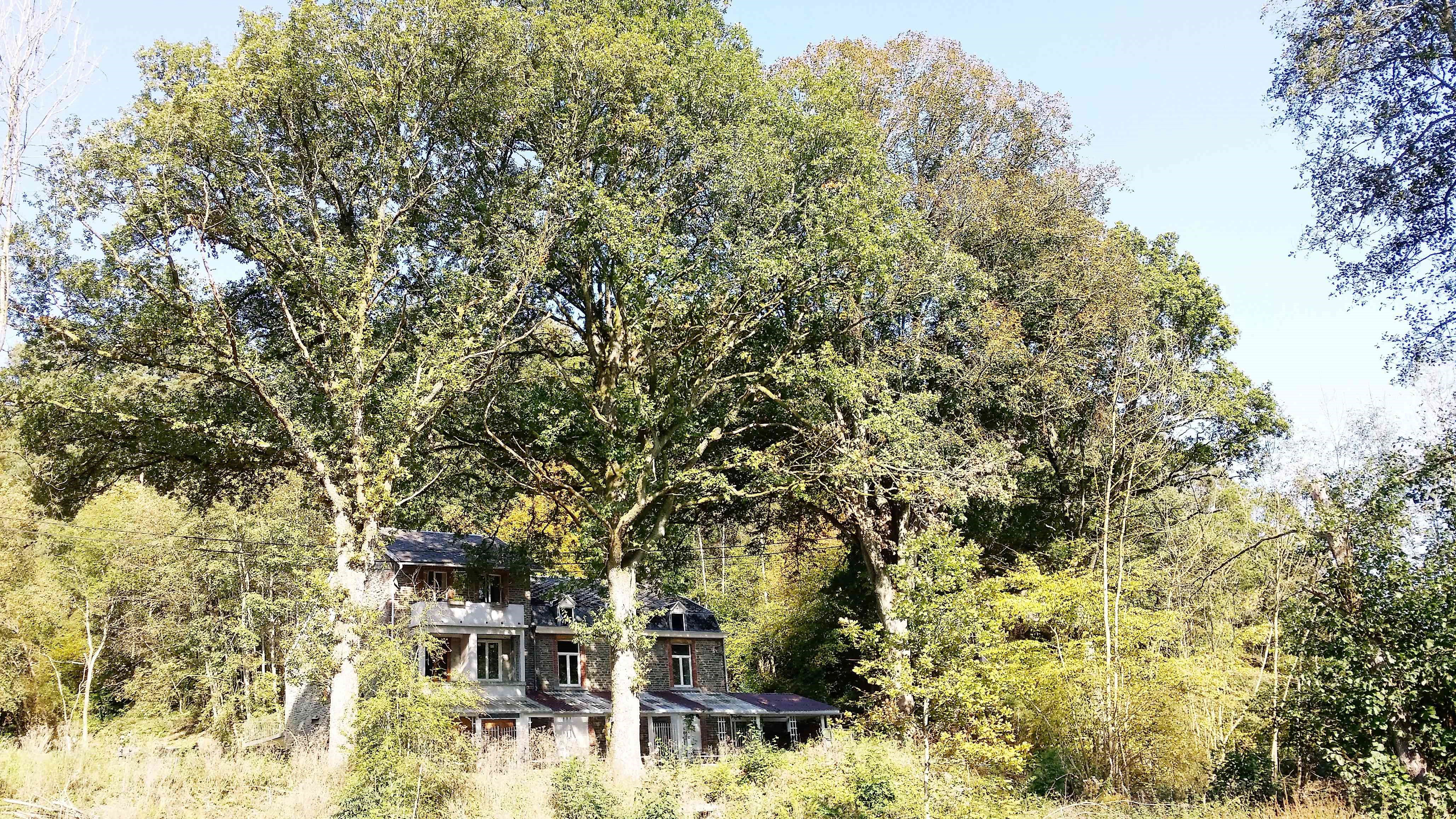 Nature house in Stoumont