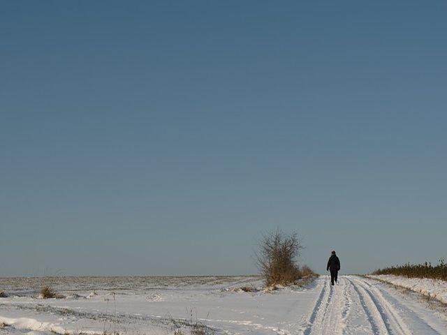 - image: 24
