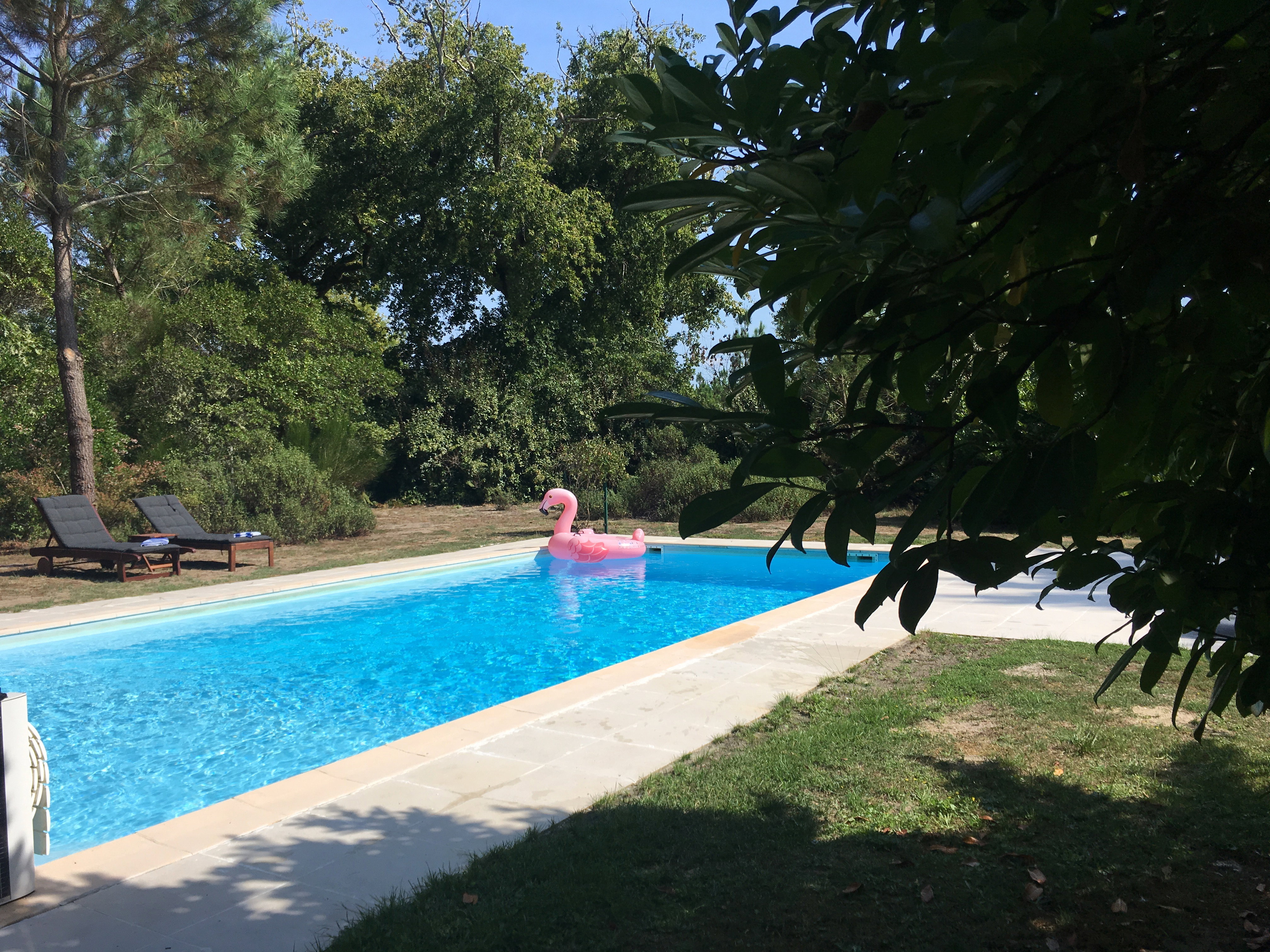 Maison nature à Moustey