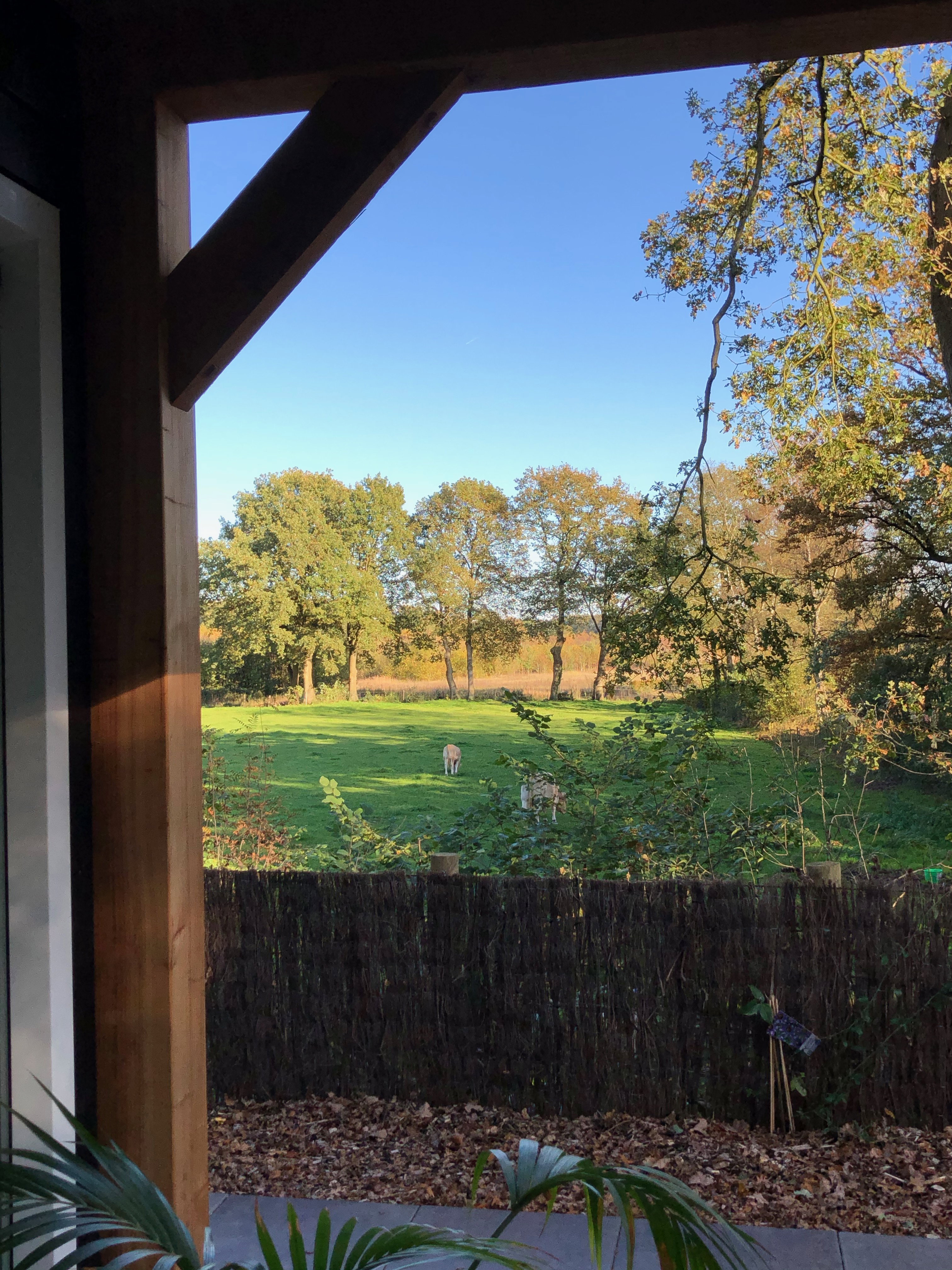 Naturhäuschen in Schipborg