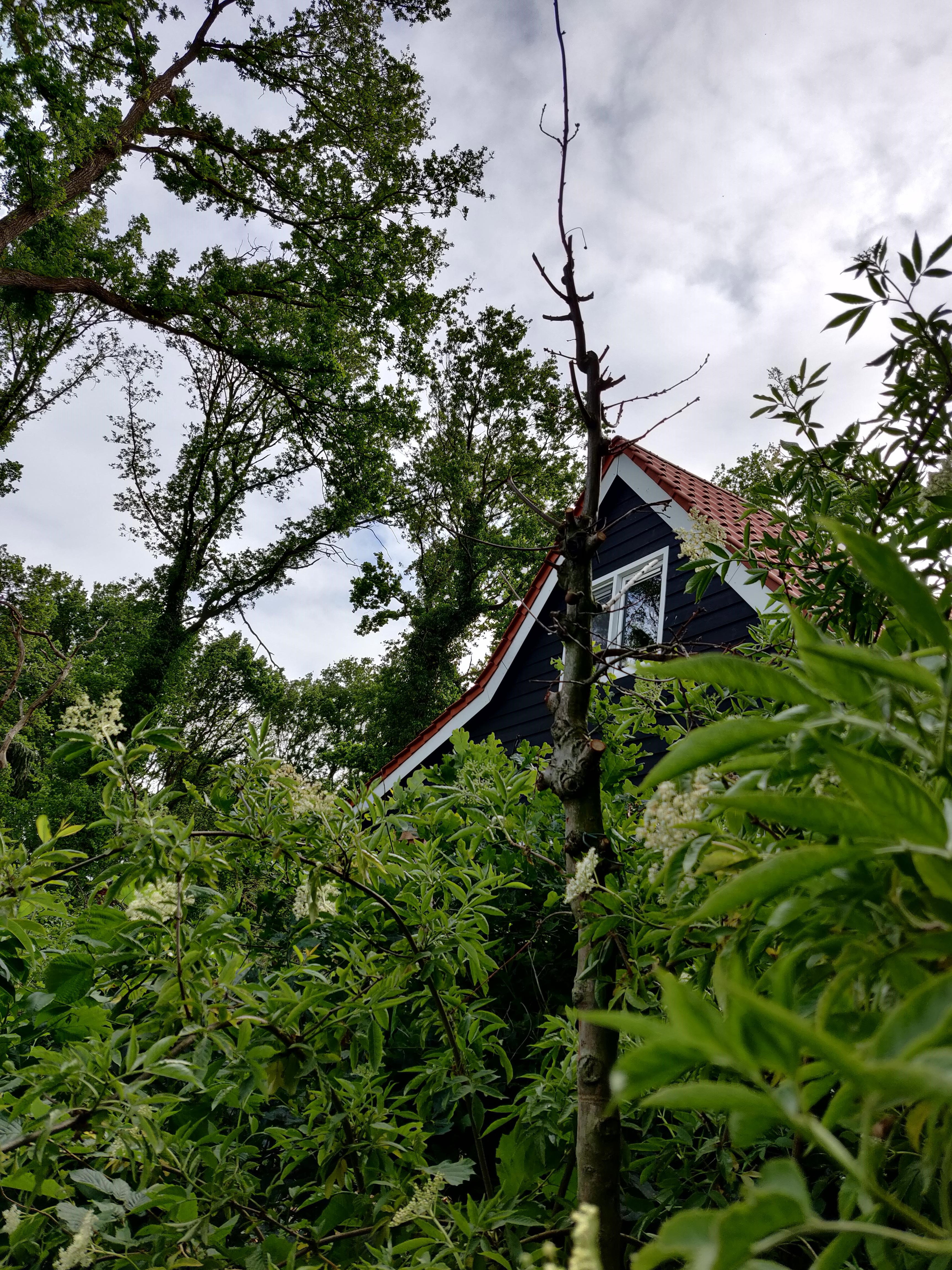 Naturhäuschen in Schipborg