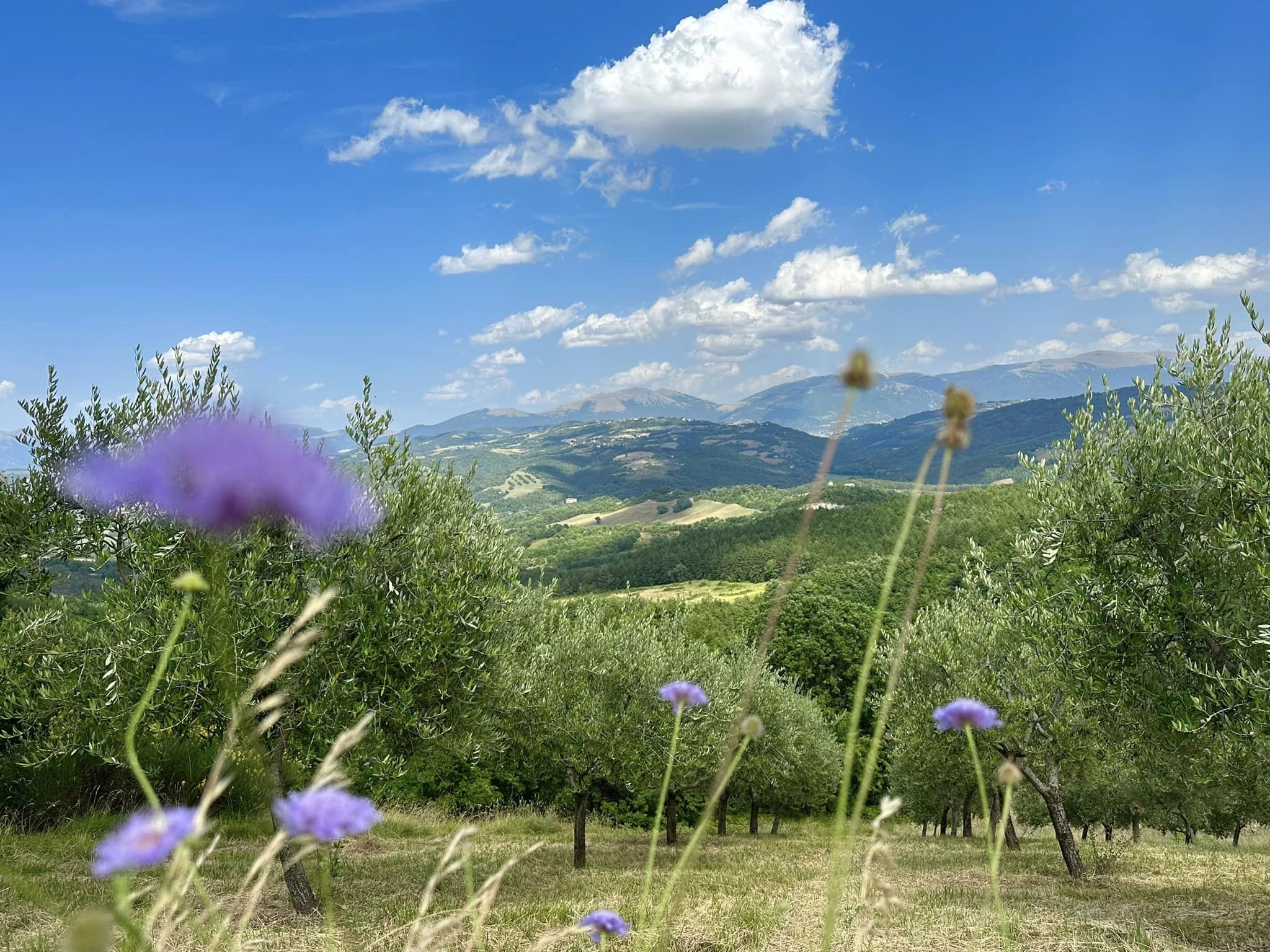 - image: 39
