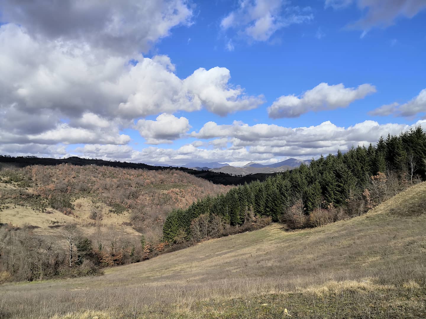 - image: 44
