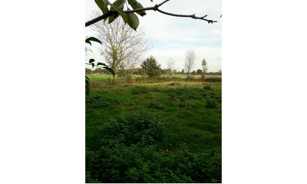 Naturhäuschen in Zuidwolde
