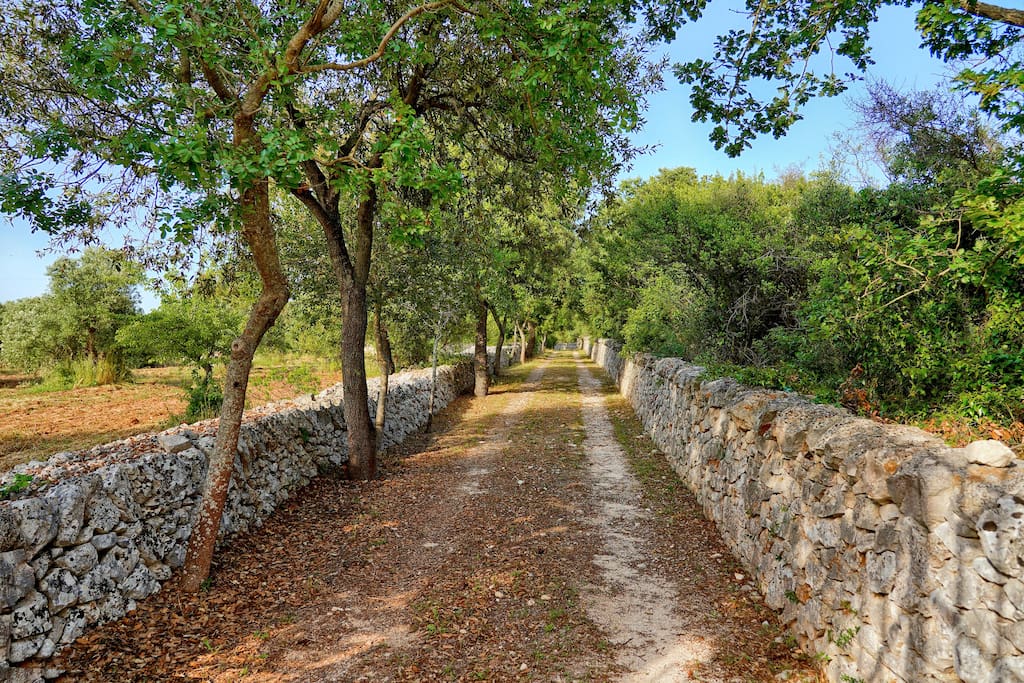 Casa nella natura a Ceglie Messapica