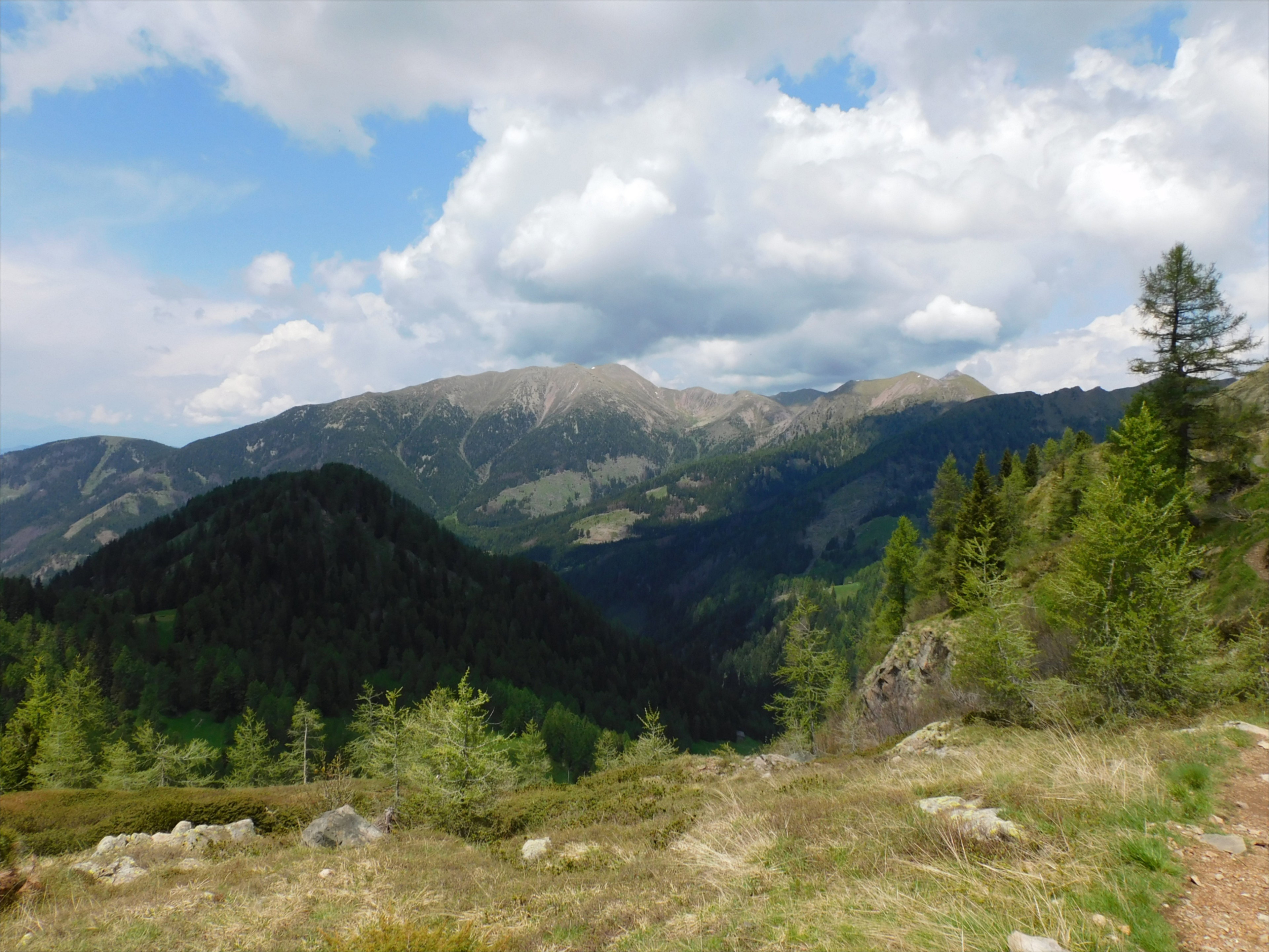 - image: 58