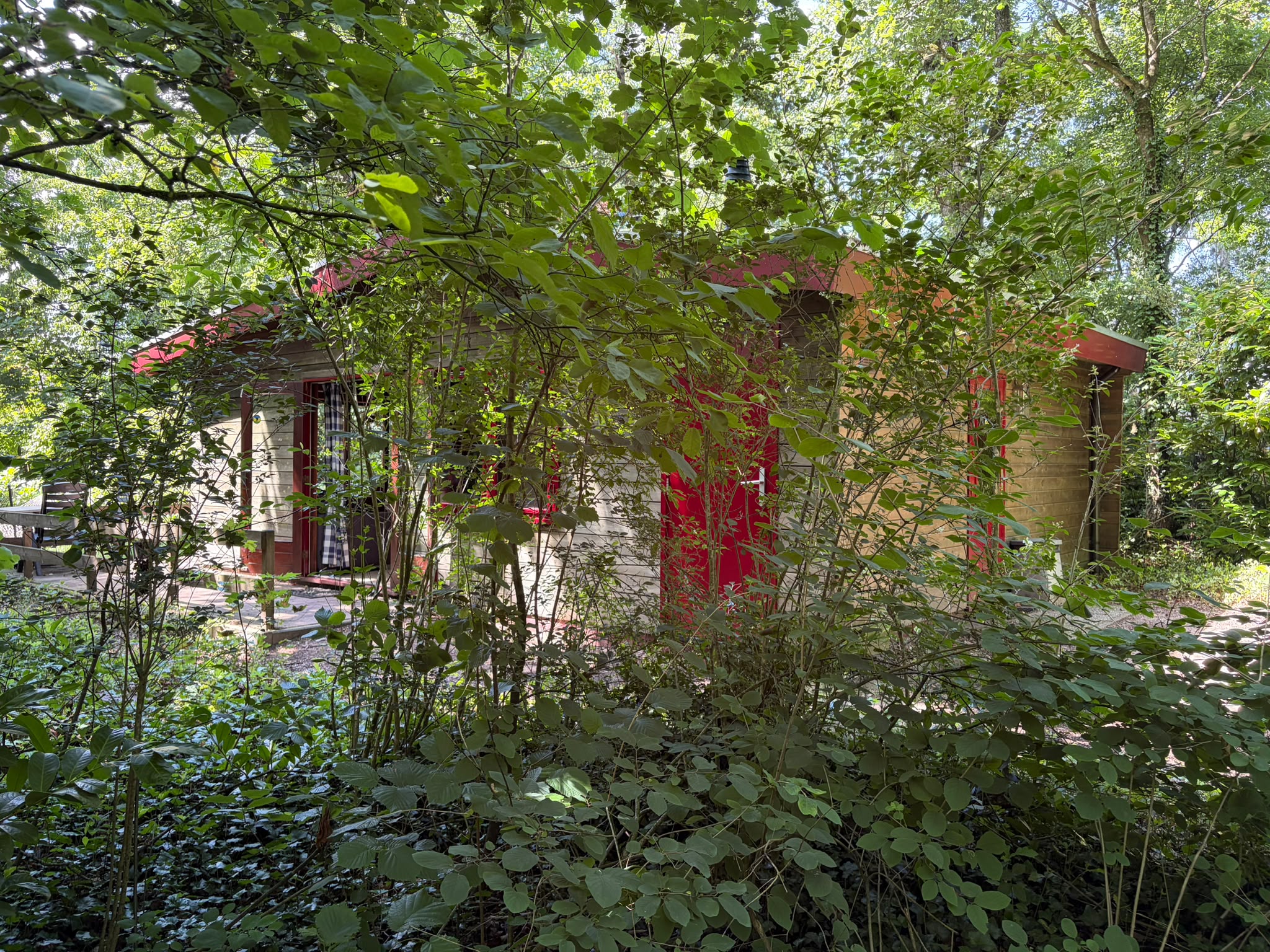 - image: 19