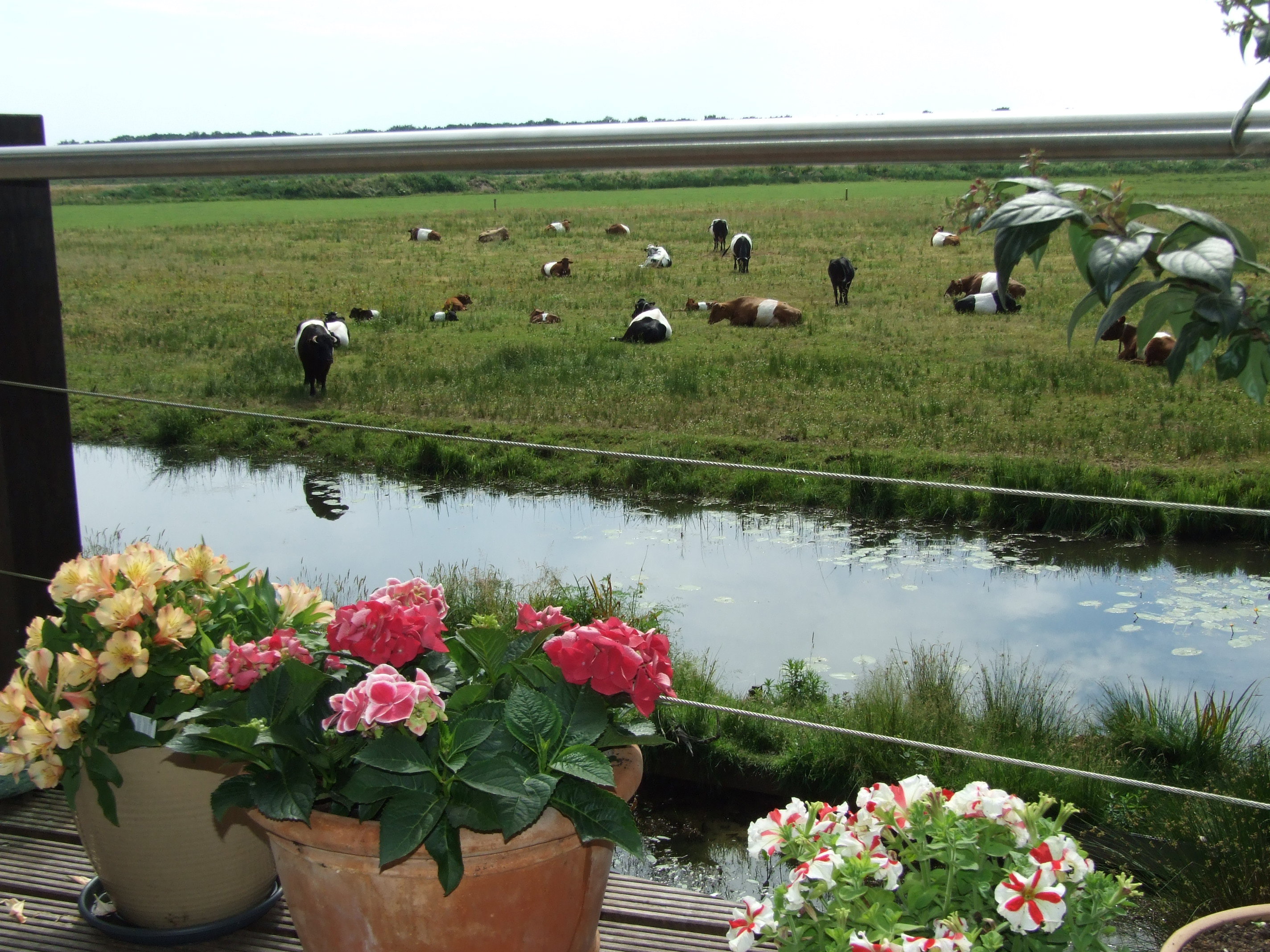 Naturhäuschen in Ommen