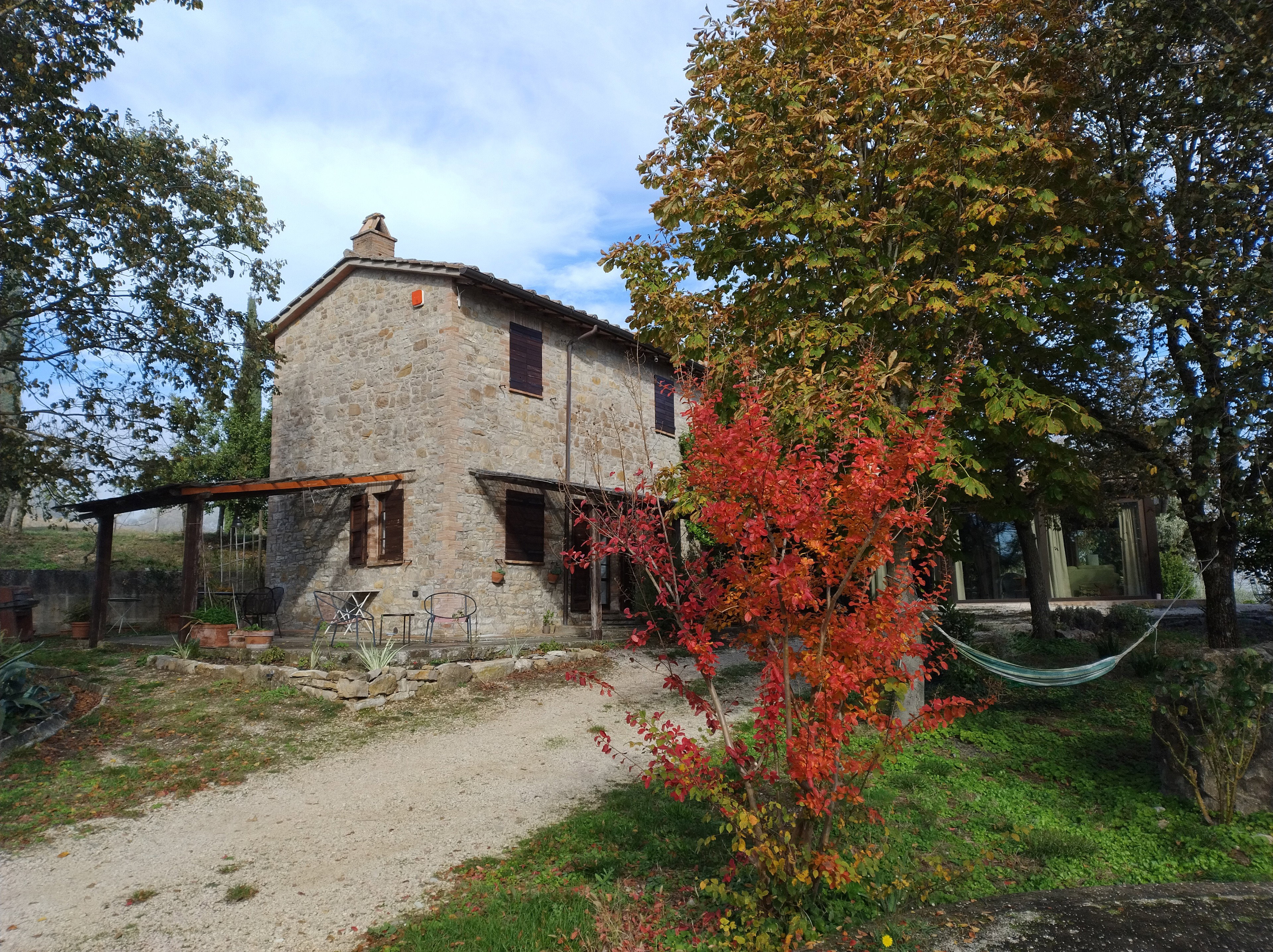 - image: 13
