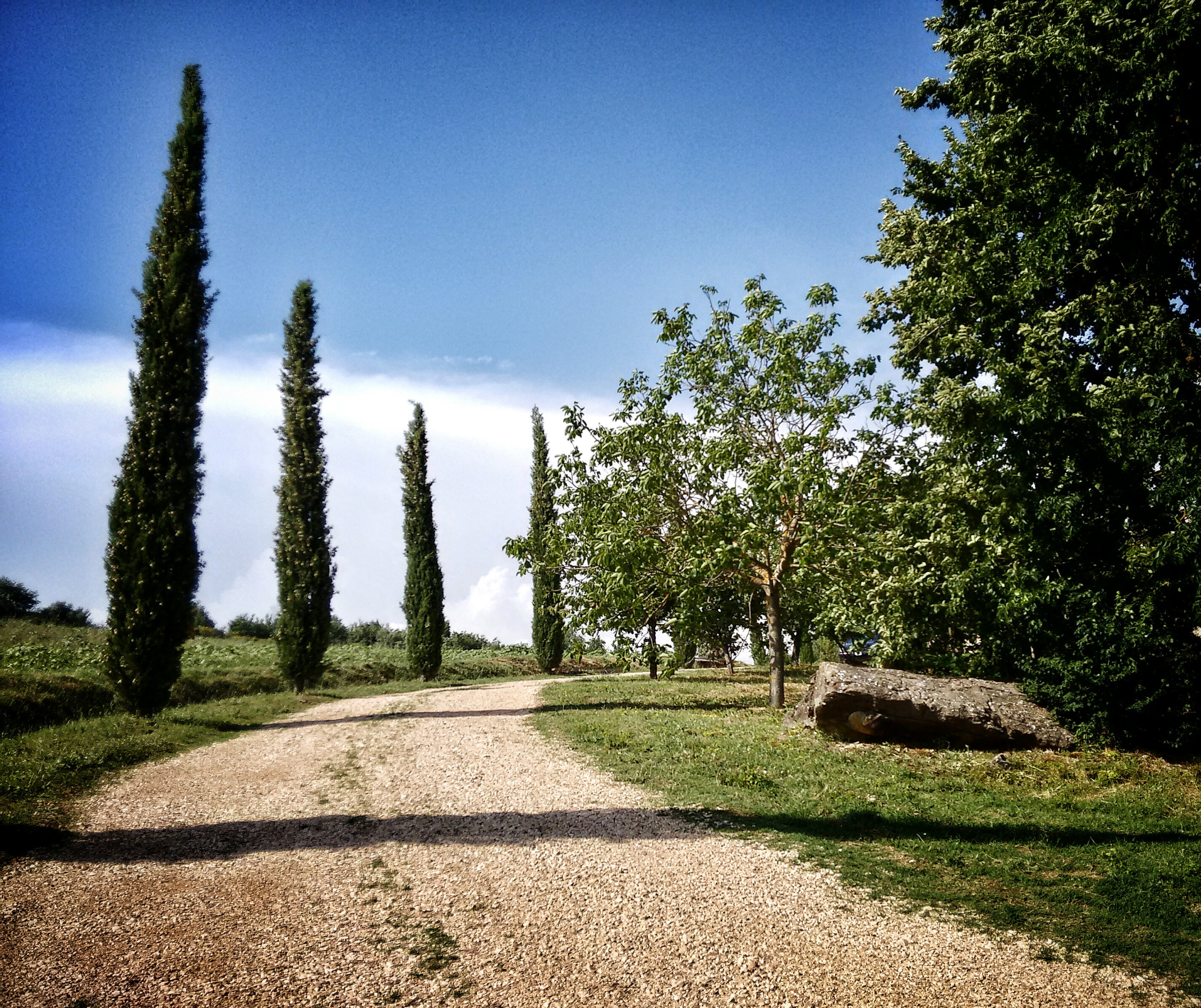 - image: 45